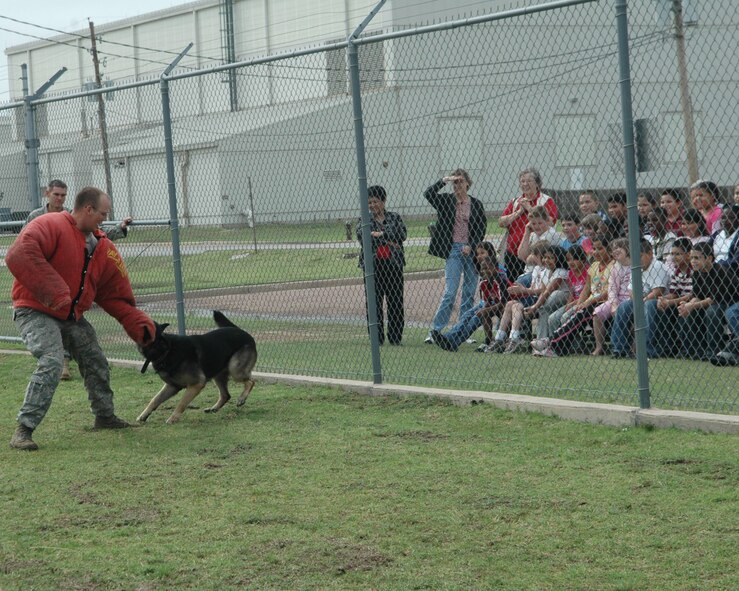ALTUS AIR FORCE BASE, Okla. – Senior Airman Joshua Newbrey, 97th Security Forces Squadron, acts as a decoy while Endy, the military working dog (MWD), performs a fleeing suspect demonstration for the ASPIRE, After School Program Intervention Remediation Enrichment, students of Altus.  Altus has seven MWD that are dual certified in detection and patrol attack. (U.S. Air Force photo/Airman 1st Class Leandra D. Hernandez)