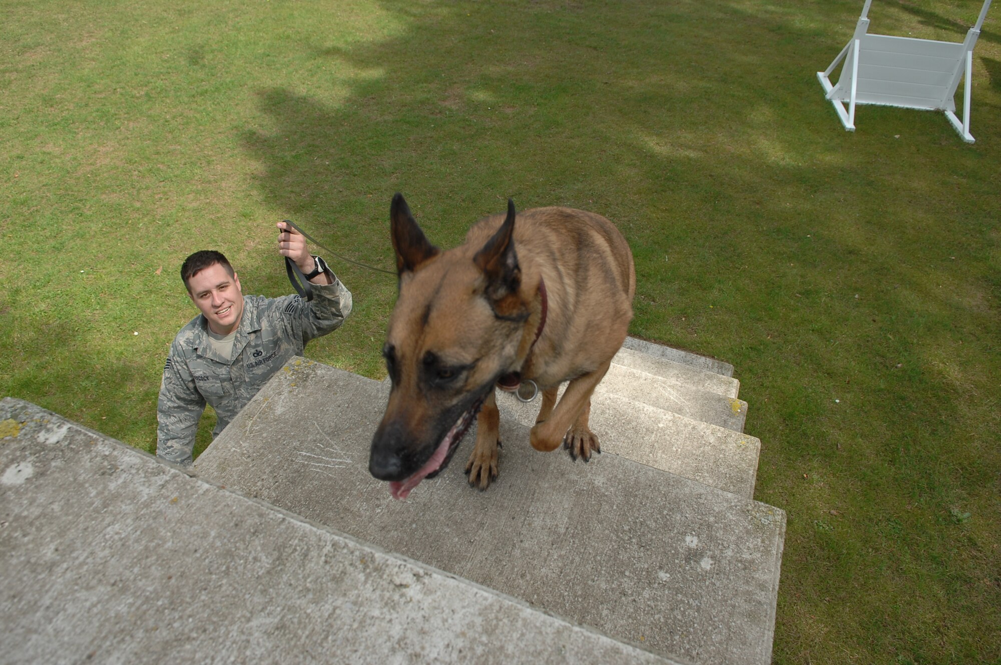 SPANGDAHLEM AIR BASE, Germany – Katya, 52nd Security Forces Squadron working dog, climbs a staircase during aggression training with her handler, Staff Sgt. Justin Aycock, 52nd SFS dog handler. The security forces training section, along with K-9 units and combat arms instructors, will visit base schools as part of Police Week to display security forces rifle fighting and baton techniques, K-9 tricks and combat arms weapons.  (U.S. Air Force photo by Airman 1st Class Nicholas Wilson) 