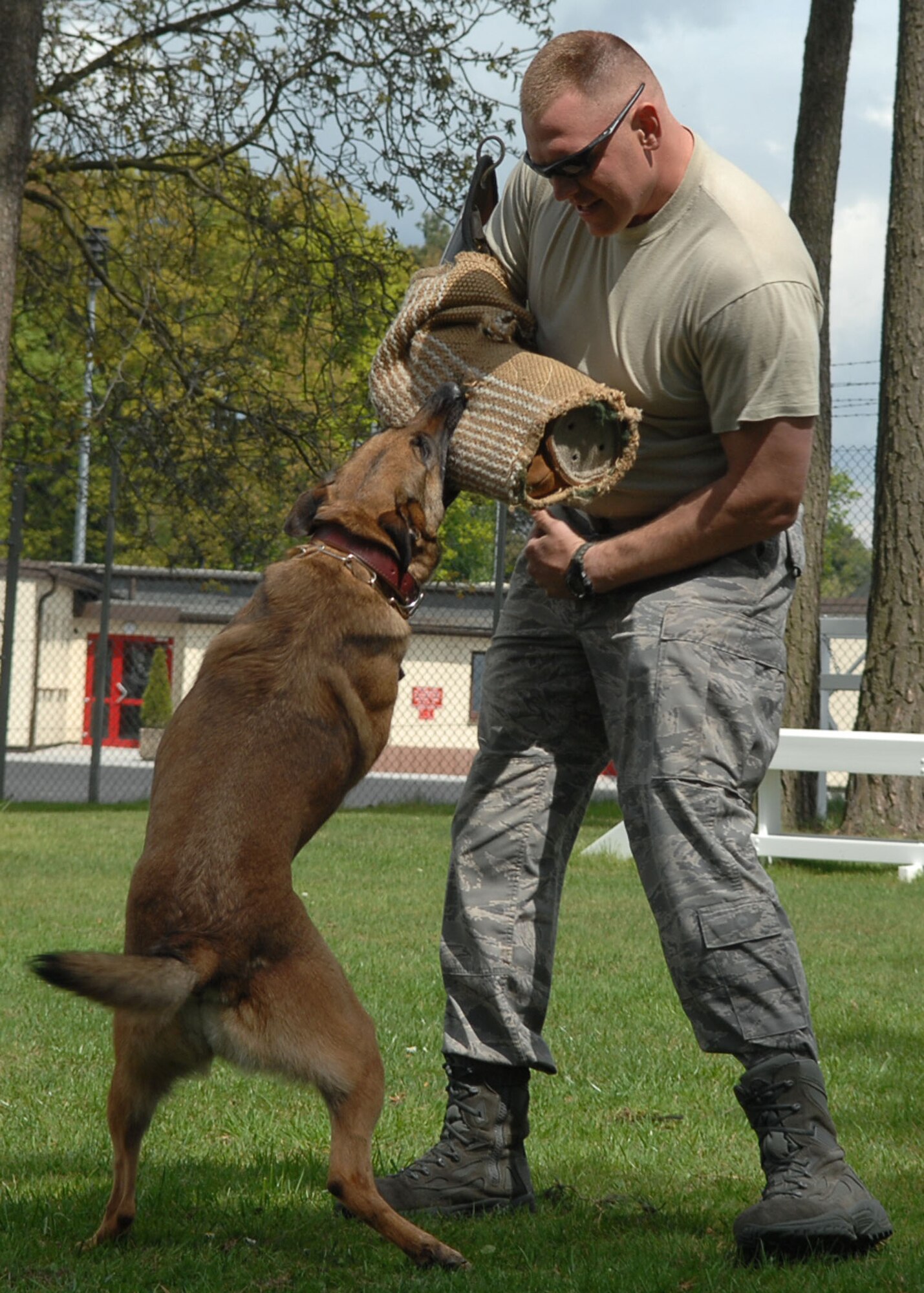 SPANGDAHLEM AIR BASE, Germany – Katya, 52nd Security Forces Squadron working dog, latches onto Staff Sgt. Chad Brown, 52nd SFS dog handler, during aggression training. Katya, a Belgian Malinois, does this type of training to enhance her proficiency. The security forces training section, along with K-9 units and combat arms instructors, will visit base schools as part of Police Week to display security forces rifle fighting and baton techniques, K-9 tricks and combat arms weapons.  (U.S. Air Force photo by Airman 1st Class Nicholas Wilson)
