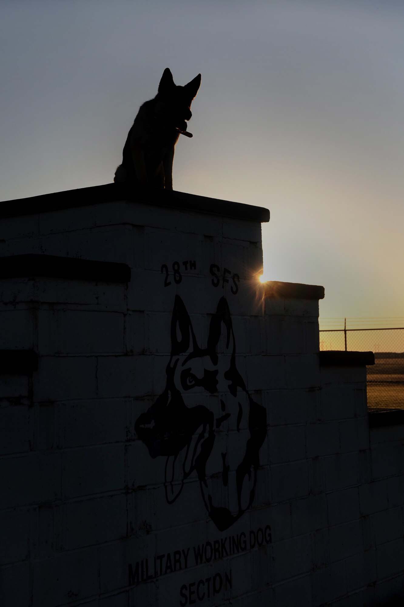 Rex, 28th Security Forces Squadron  military working dog, sits at the top of a platform in the obstacle course during obedience training, here, May 7. Military working dogs perform obedience training to ensure they listen to their handler. (U.S. Air Force photo/Airman 1st Class Joshua J. Seybert)