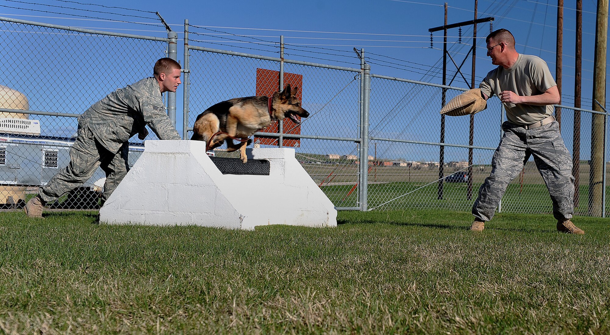 (Left) Senior Airman William Knight, 28th Security Forces Squadron dog handler, watches Rex, 28 SFS military working dog, chasing after a simulated attacker during aggression training in the obstacle course, here, May 6. Dog handlers perform training with their dogs daily to ensure deployment and real world readiness. (U.S. Air Force photo/Airman 1st Class Joshua J. Seybert)