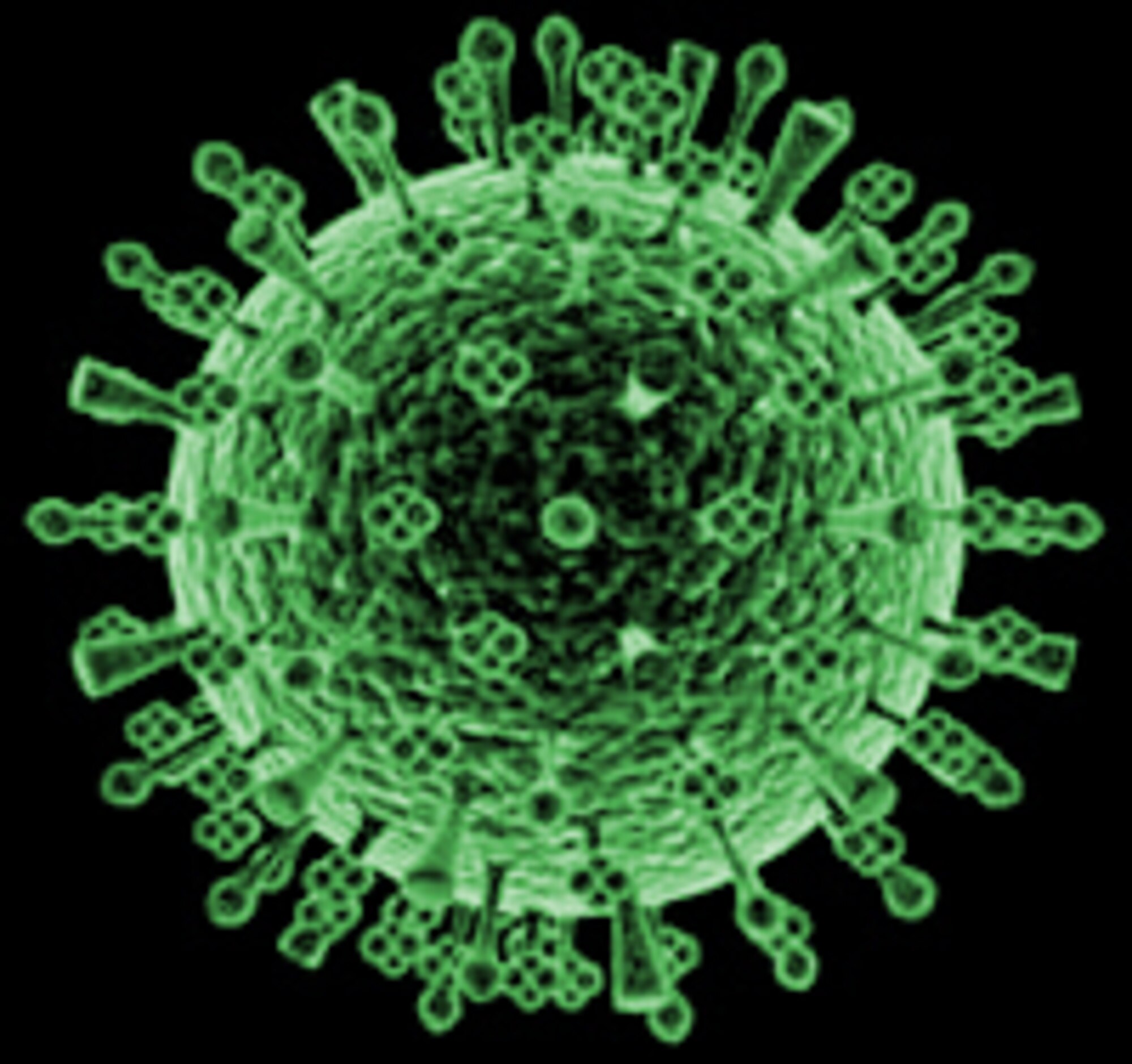 H1N1
