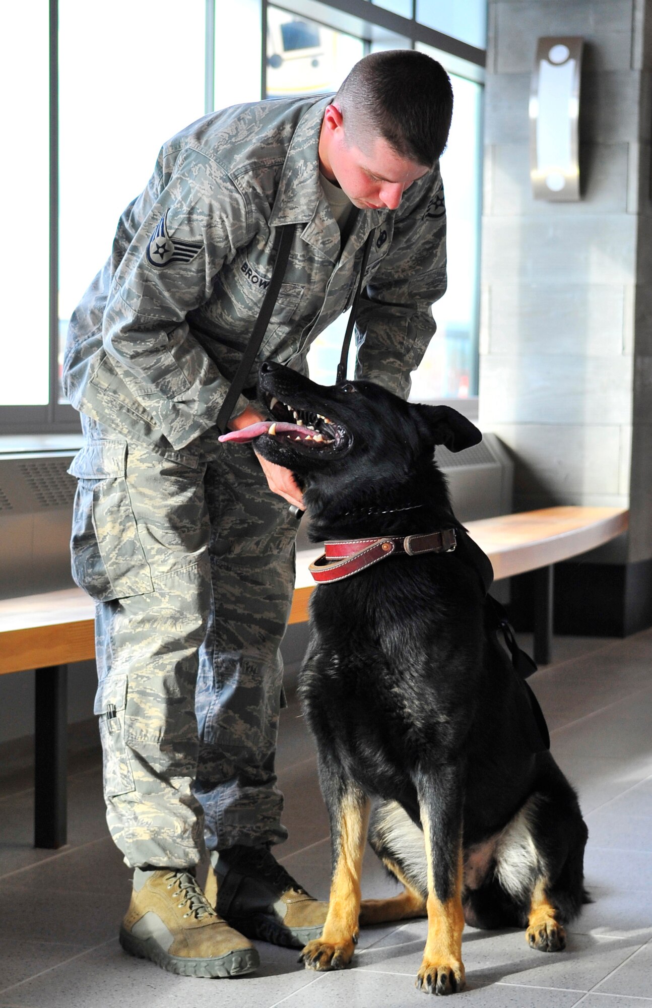 Staff Sgt. Robert Brown puts a leash on military working dog Benny before performing a search of the new wing at the Fairbanks International Airport May 5, 2009. The Department of Homeland Security and Eielson Air Force Base joined together to clear the new wing of threats. Sergeant Brown and Benny are a MWD team assigned to the 354th Security Forces Squadron, Eielson AFB, Alaska. (U.S. Air Force photo/Staff Sgt. Christopher Boitz)