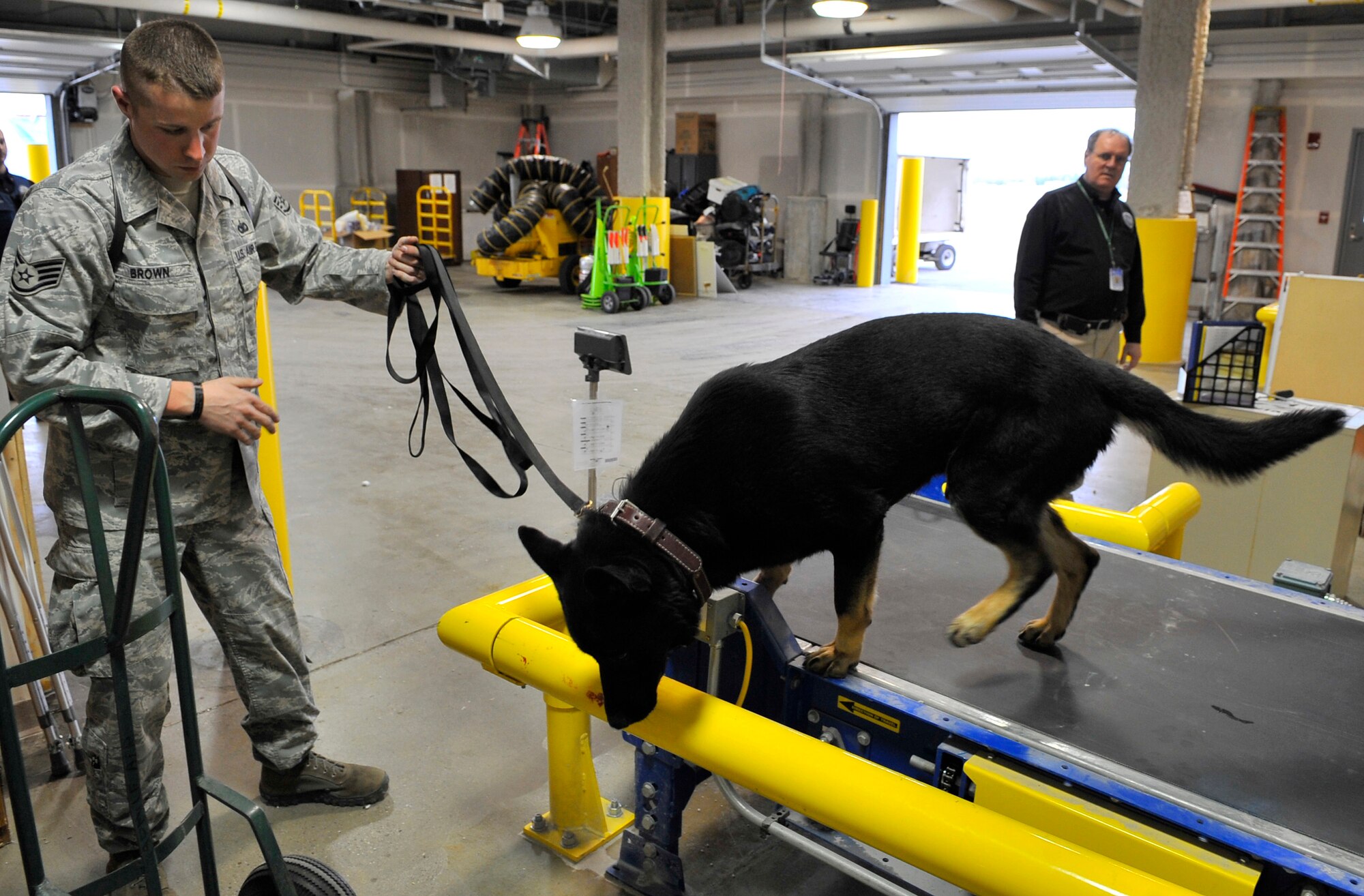 Staff Sgt. Robert Brown and military working dog Benny look for explosives during a sweep of the new wing at the Fairbanks International Airport May 5, 2009. The Department of Homeland Security and Eielson Air Force Base joined together to clear the new wing of threats. The new wing is open to the community for use May 7. Sergeant Brown and Benny are a MWD team assigned to the 354th Security Forces Squadron, Eielson AFB, Alaska. (U.S. Air Force photo/Staff Sgt. Christopher Boitz)