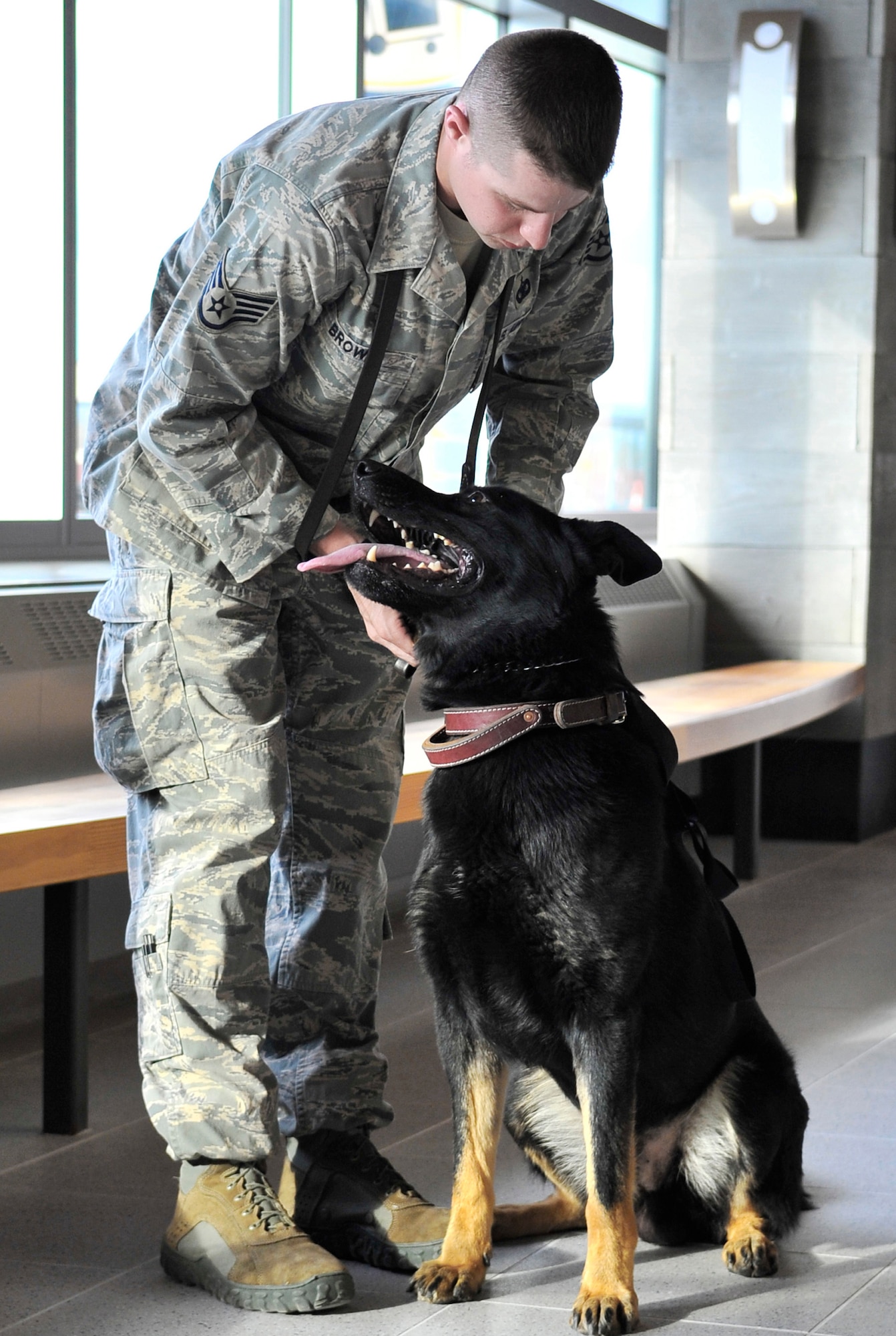 Staff Sgt. Robert Brown puts a leash on military working dog Benny before performing a search of the new wing at the Fairbanks International Airport in Fairbanks, Alaska, May 5. The Department of Homeland Security and Eielson Air Force Base, Alaska, joined together to clear the new wing of threats. Sergeant Brown and Benny are a MWD team assigned to the 354th Security Forces Squadron, Eielson AFB. (U.S. Air Force photo/Staff Sgt. Christopher Boitz)