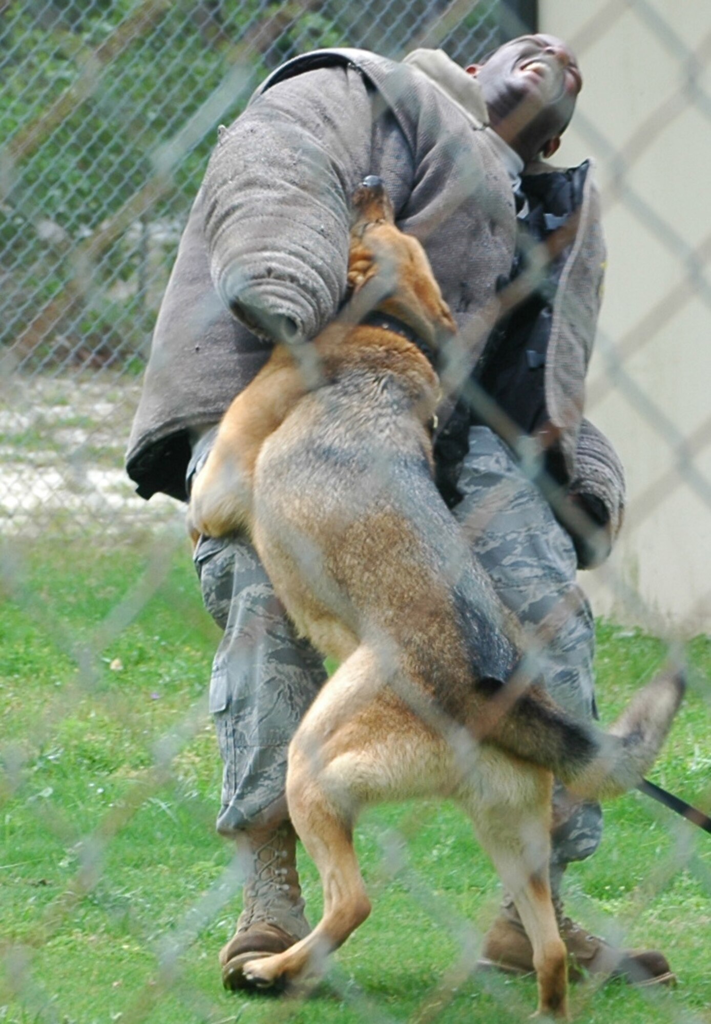 Staff Sgt. Johnathon Winters is attacked by Ciro during a demonstration of the military working dog's prowess May 5 at Tyndall Air Force Base, Fla. The demonstration served as a reward for good behavior for 10 youths involved with the Liberty Juvenile Unit for Specialized Treatment program from Bristol, Fla. Sergeant Winters is a 325th Security Forces Squadron military working dog trainer. (U.S. Air Force photo/Staff Sgt. Joshua Stevens) 
