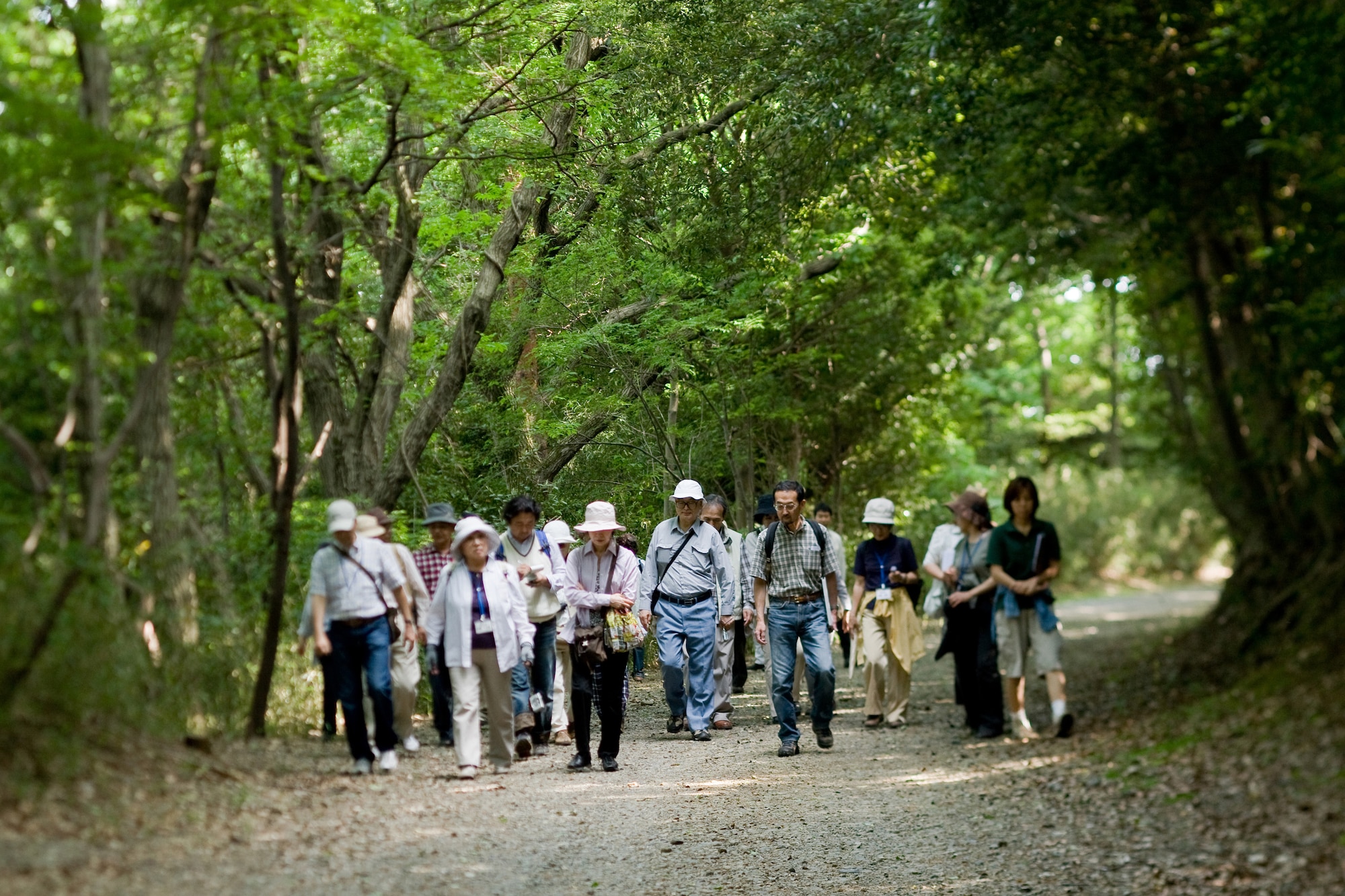 INAGI CITY, Japan -- Yoshitaka Yamaguchi, 374th Civil Engineer Squadron Environmental Flight, (fourth from right) leads an eco tour of the Tama Hills Recreation Area May 13 for citizens of Inagi City. Yokota civil engineers lead five eco tours each year for citizens of Inagi City and Tama City, two communities which surround the recreation area. The site, a former Japanese Imperial Army munitions processing and storage plant, was so well concealed by the surrounding terrain that it remained undetected by Allied forces throughout World War II. Officials maintain the site's biodiversity and have also erected historical plaques throughout the 250-acre site containing bunkers, foundations and tunnels. (U.S. Air Force photo/Osakabe Yasuo)