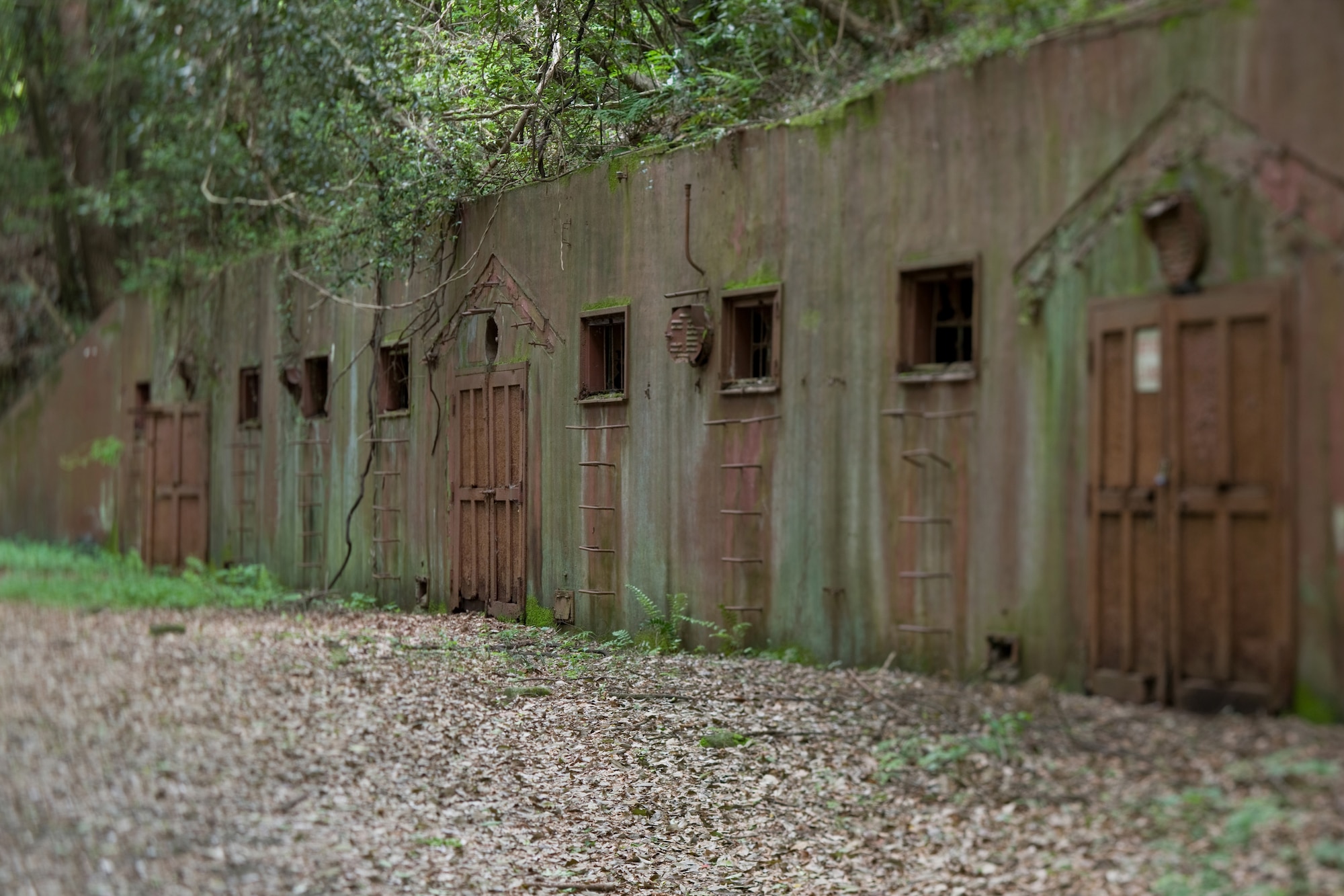 INAGI CITY, Japan -- Ammunition bunkers like this one at Tama Hills Recreation Area were used by the Japanese Imperial Army to store munitions prior to and during World War II. The facilities were built according to German specifications and resemble those found in Bavaria. Shortly before Japan's surrender, soldiers saturated most of the area with a highly poisonous chemical. The U.S. Army brought in decontamination and demolition teams to clear the site and check for unexploded ordnance. Yokota civil engineers maintain the site's biodiversity and have also erected historical plaques throughout the 250-acre site containing bunkers, foundations and tunnels. (U.S. Air Force photo/Osakabe Yasuo)
