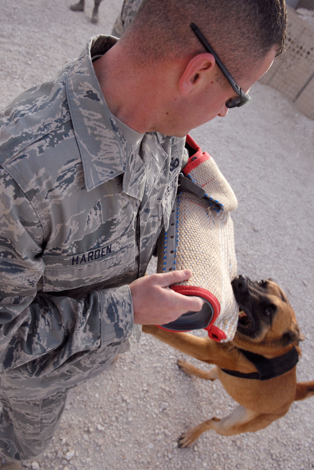 Staff Sgt. Ronald Harden, 379th Expeditionary Security Forces Squadron (ESFS) kennel master, works with Eesau, a 379th ESFS working dog, during aggression training with a tear resistant bite sleeve, May 12, 2009, at an undisclosed location in Southwest Asia.  Sergeant Harden helps train the military working dogs and their handlers to work as a team when they are on the job.  Sergeant Harden hails from Smyrna, Tenn. and is deployed from Buckley Air Force Base, Colo., in support of Operations IRaqi and Enduring Freedom and Combined Joint Task Force - Horn of Africa.  (U.S. Air Force photo/Senior Airman Andrew Satran/released)