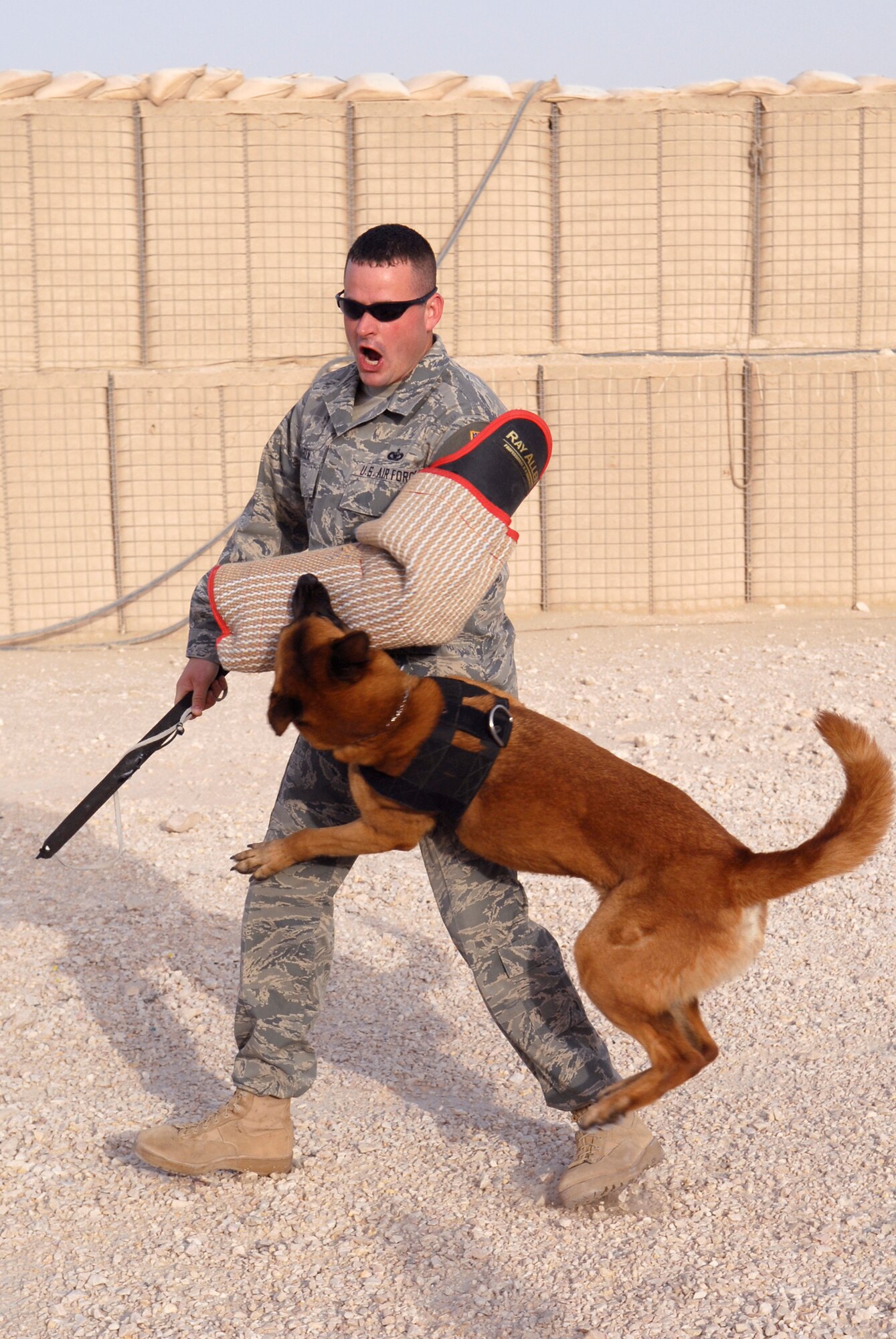 Staff Sgt. Ronald Harden, 379th Expeditionary Security Forces Squadron (ESFS) kennel master, works with Eesau, a 379th ESFS working dog, during aggression training with a tear resistant bite sleeve, May 12, 2009, at an undisclosed location in Southwest Asia.  Sergeant Harden helps train the military working dogs and their handlers to work as a team when they are on the job.  Sergeant Harden hails from Smyrna, Tenn. and is deployed from Buckley Air Force Base, Colo., in support of Operations IRaqi and Enduring Freedom and Combined Joint Task Force - Horn of Africa.  (U.S. Air Force photo/Senior Airman Andrew Satran/released)