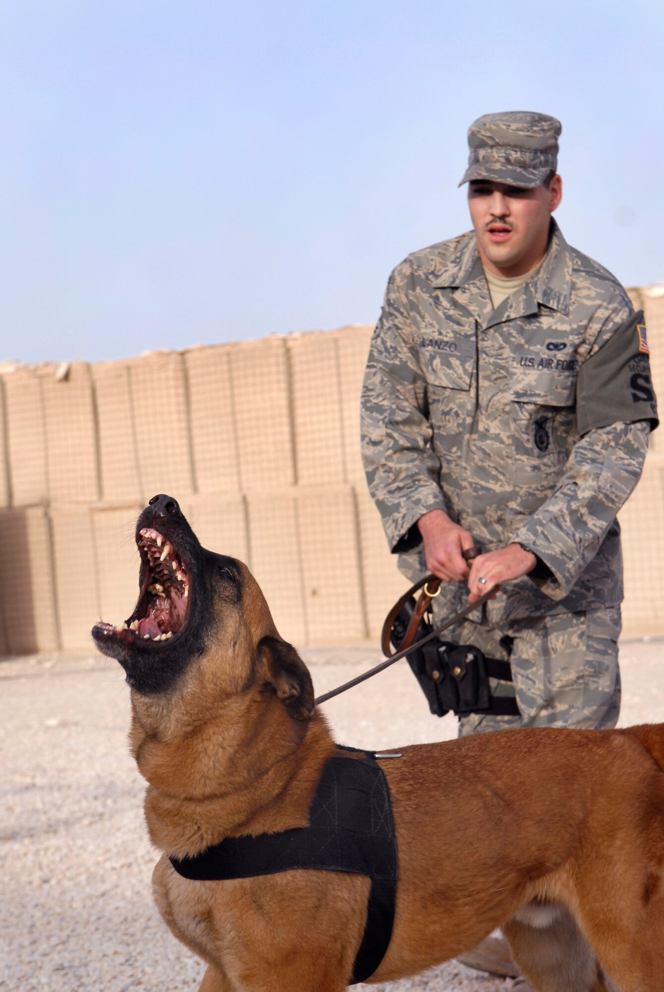 Senior Airman Phillip Lanzo, a 379th Expeditionary Security Forces Squadron (ESFS) Working Dog Handler, commands Eesau, a 379th ESFS working dog, to show force during an aggression training session, May 12, 2009, at an undisclosed location in Southwest Asia.  The ESFS working dog handlers train their dog daily to build the trust and confidence to perform their duties together as a team.  Airman Lanzo hails from Cleaveland, Ohio.  Airman Lanzo and Eesau are deployed from Fairchild Air Force Base, Wash., in support of Operations Iraqi and Enduring Freedom and Combined Joint Task Force - Horn of Africa.  (U.S. Air Force photo/Senior Airman Andrew Satran/released)
