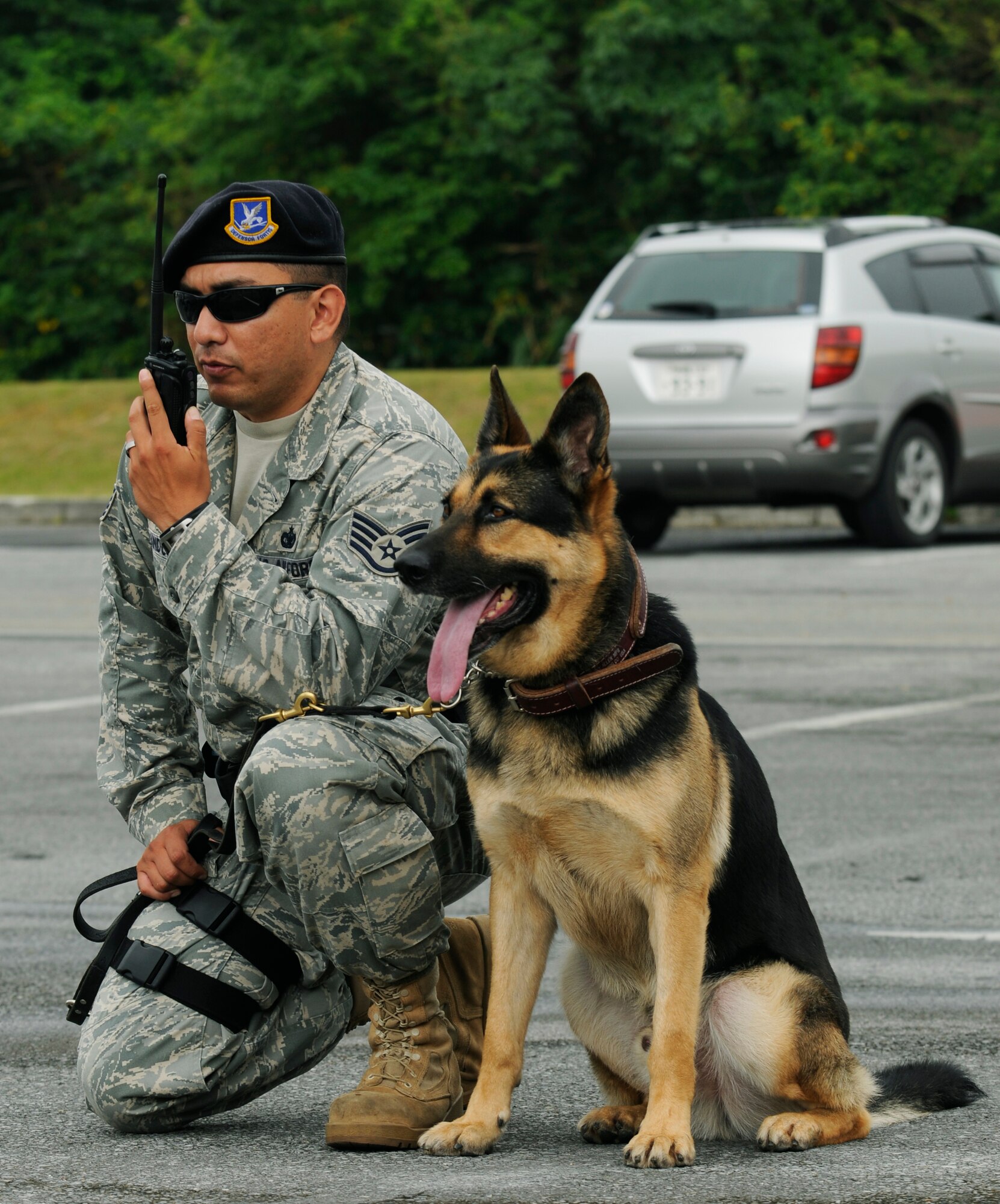 Nemo, an 18th Security Forces Squadron military working dog, stands watch by his handler Staff Sgt. Anthony Sandoval during Beverly High 09-2 Local Operational Readiness Exercise May 12. The LORE tests base personnel on their readiness for real world emergency/combat events.  (U.S. Air Force photo/Airman 1st Class Chad Warren)
