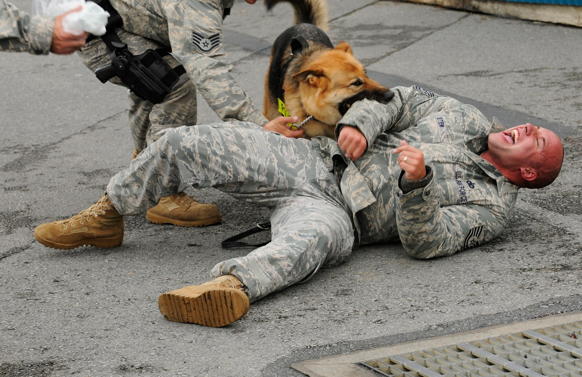 Tech. Sgt. Bradley Stem of the18th Security Forces Squadron, is taken down by Zena, a military working dog, during Beverly High 09-2 Local Operational Readiness Exercise May 12. The LORE tests base personnel on their readiness for real world emergency/combat events.  (U.S. Air Force photo/Airman 1st Class Chad Warren)