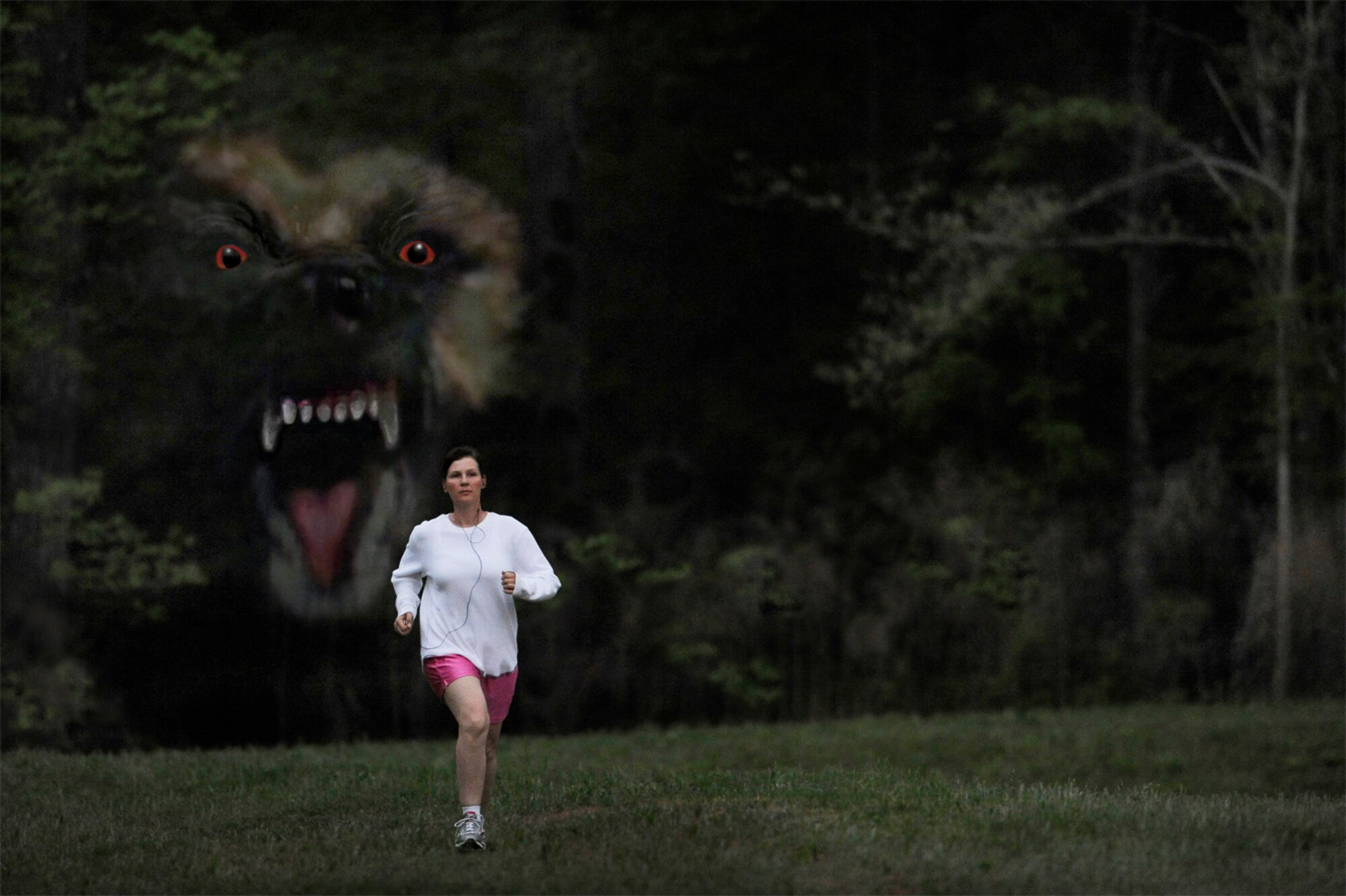 Hunted! War hero mauled by dog — From the darkness, a 100-pound dog took Stacy Pearsall by surprise as she jogged near the woods in her neighborhood while listening to music on her iPod. (photo by Master Sgt. Andy Dunaway - digital composite by Sammie W. King)