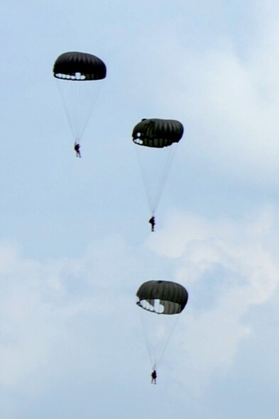 The E-Team Skydivers perform during the 2009 Defenders of Liberty Air show  May 9. (U.S. Air Force photo by Airman 1st Class Brittany Y. Bateman)(RELEASED)