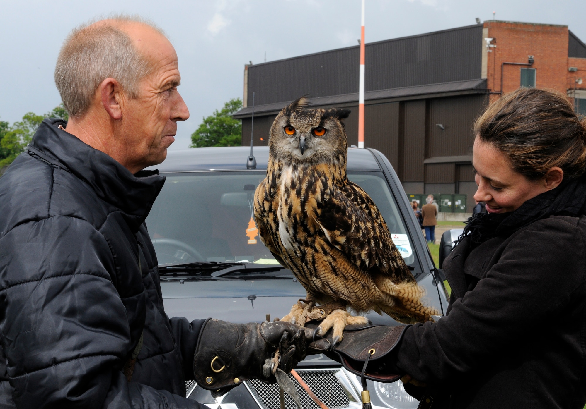 Twinkle the owl sits on the arm of Faye Sommerville, a British guest at the 75th anniversary of RAF Mildenhall, while Keith Mutton, the bird trainer, explains the traits of the bird May 15, 2009.  The birds of prey display was one of several events at the celebration.  (U.S. Air Force photo by Senior Airman Christopher L. Ingersoll)