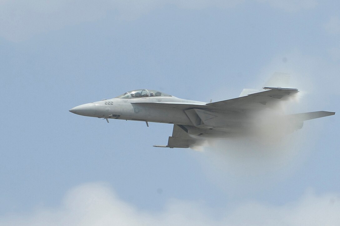 An F/A-18E Super Hornet performs a high speed pass over the crowd during the Joint Service Open House (JSOH) on Andrews Air Force Base, Maryland, May 16, 2009. The JSOH celebrates military history while showcasing the future capabilities of the world's finest military force. (U.S. Air Force photo by Senior Airman Giang Nguyen)