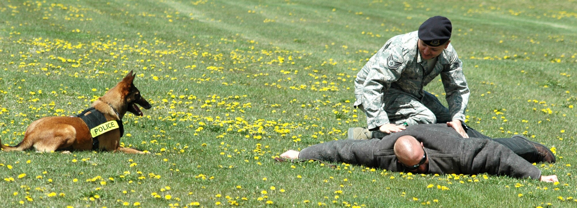 Staff Sgt. John Johnson, 341st Security Forces Squadron dog handler, conducts a search on a suspect, Staff Sgt. Joseph Knowles, 341st SFS, as Bibi provides overwatch protection May 13 as part of the base’s celebration of Police Week 2009. For safety reasons, Security Forces usually cannot conduct a search on suspects without the presence of another SF member. K-9 personnel use their military working dog as overwatch when other Security Forces are not available. (U.S. Air Force photo/Staff Sgt. Marcus McDonald)