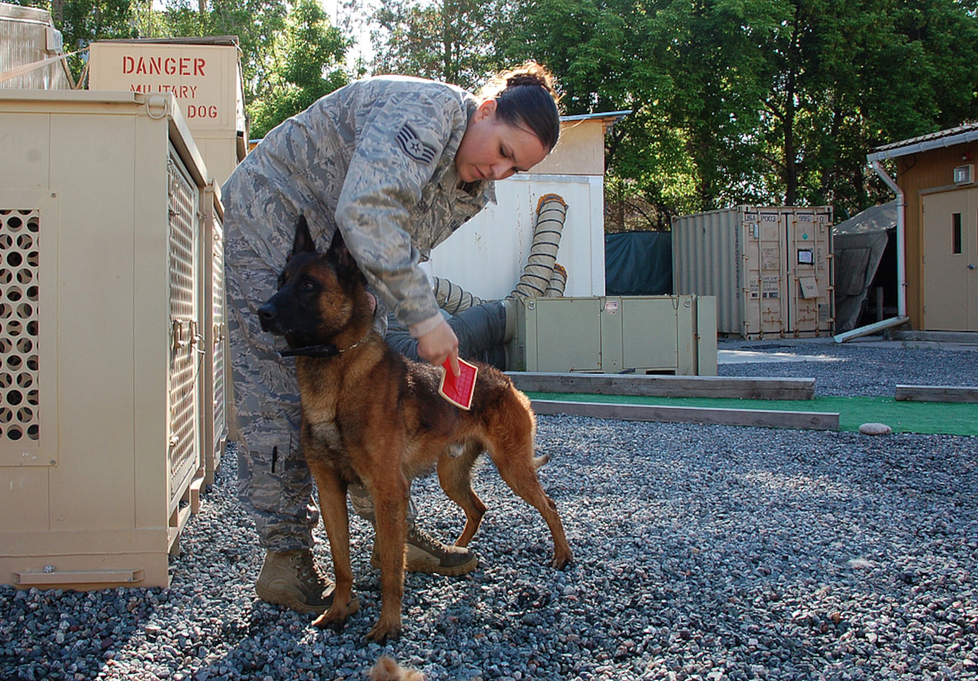 MANAS AIR BASE, Kyrgyzstan --  Staff Sgt. Teri Messina, who is assigned to the 376th Expeditionary Security Forces Squadron Military Working Dog Flight, grooms her canine partner Rico here. Sergeant Messina and Rico are deployed here from the 30th Security Forces Squadron. (U.S. Air Force photo/Tech. Sgt. Phyllis Hanson)