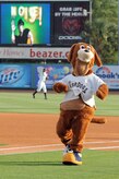 Charlie T. RiverDog gets the crowd pumped up with his dance moves before the start of the Charleston RiverDogs baseball game held at Joseph P. Riley Jr., Park May 20. The RiverDogs held a military appreciation night, which was free for all military and Department of Defense ID cardholders and their families. Charlie is the mascot for the Charleston RiverDogs and has helped the team to become one of the most popular attractions in the Lowcountry. (U.S. Air Force photo/Staff Sgt. Marie Cassetty)