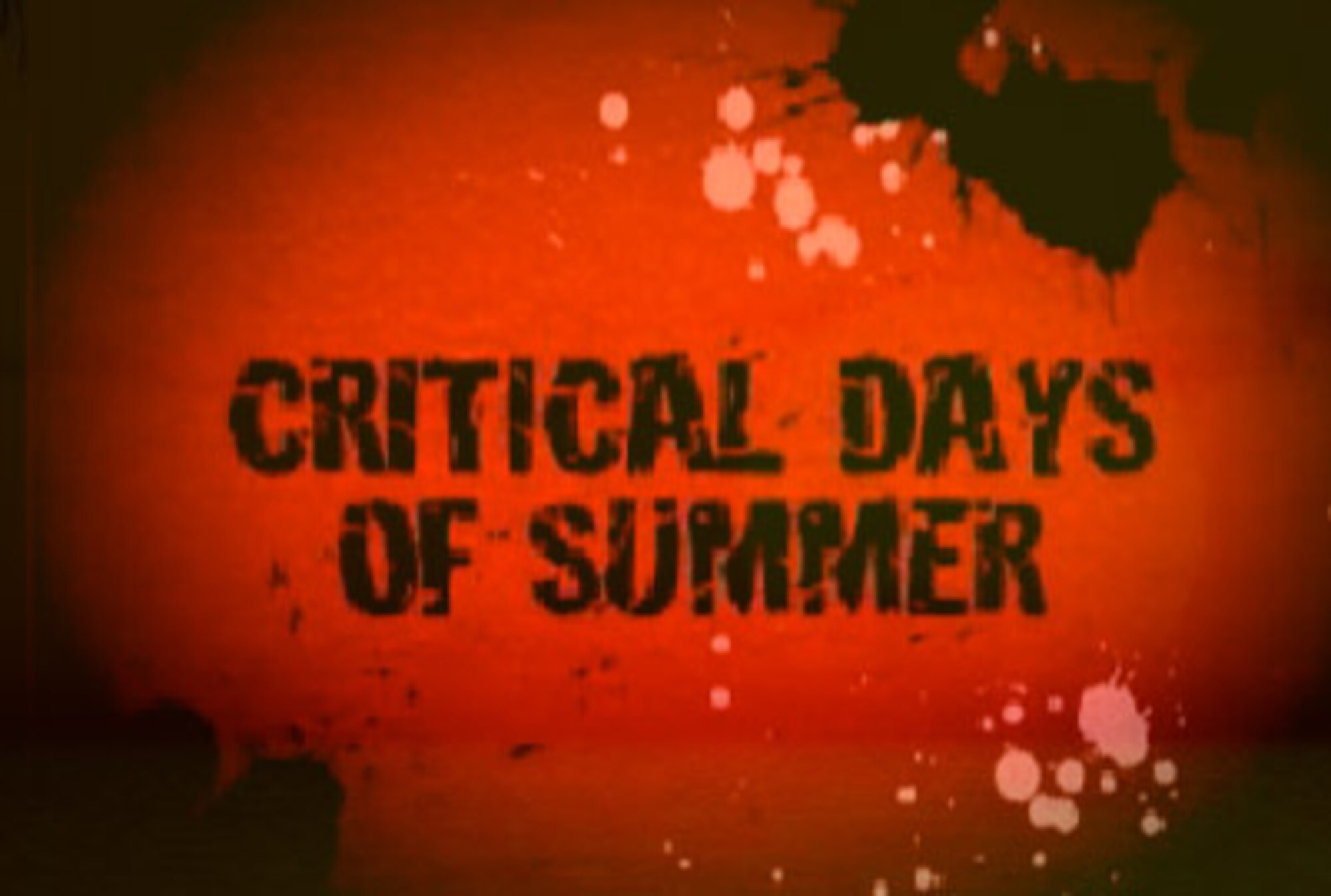 The Air Force chief of staff and the Air Force top safety officer appear in videos to launch the service's annual Critical Days of Summer safety campaign, which begins May 22 and ends Sept. 7. 
