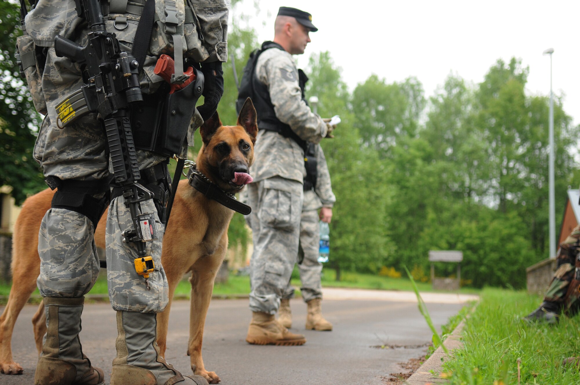 Sonna, 52nd Security Forces Squadron military working dog, rests while cadre talk to Creek Defender students about their tactics, Baumholder, Germany, May 15, 2009. Students attend Creek Defender Regional Training Center to hone and sharpen skills learned through previous training in preparation for upcoming deployments. (U.S. Air Force photo by Senior Airman Levi Riendeau)