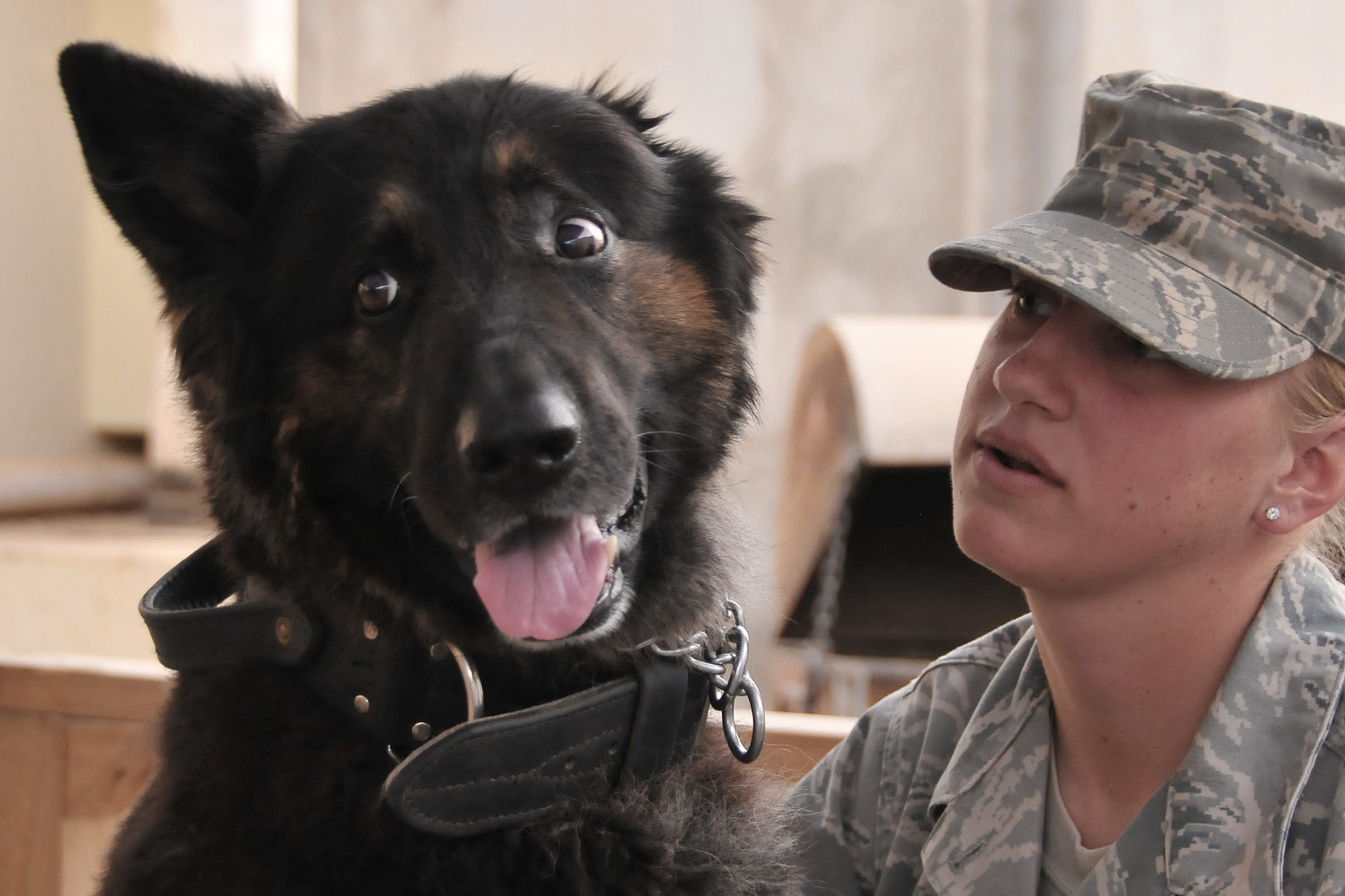 Staff Sgt. Kristen Smith gives verbal positive reinforcement to her explosives-detection military working dog, Cezar, for his conduct during his participation in the K-9 Visitation Program at the Air Force Theater Hospital May 15 at Joint Base Balad, Iraq. The newly created program allows AFTH patients to interact with K-9s to help further their recovery after injury or illness as a form of animal-assisted therapy. The program also furthers the military working dogs' training, as they work in close proximity with coalition forces here during their day-to-day mission. Sergeant Smith is a 332nd Expeditionary Security Forces Group K-9 handler. She and her dog are deployed from McGuire Air Force Base, N.J. Sergeant Smith is a native of Johnstown, Pa. (U.S. Air Force photo/Staff Sgt. Dilia Ayala) 
