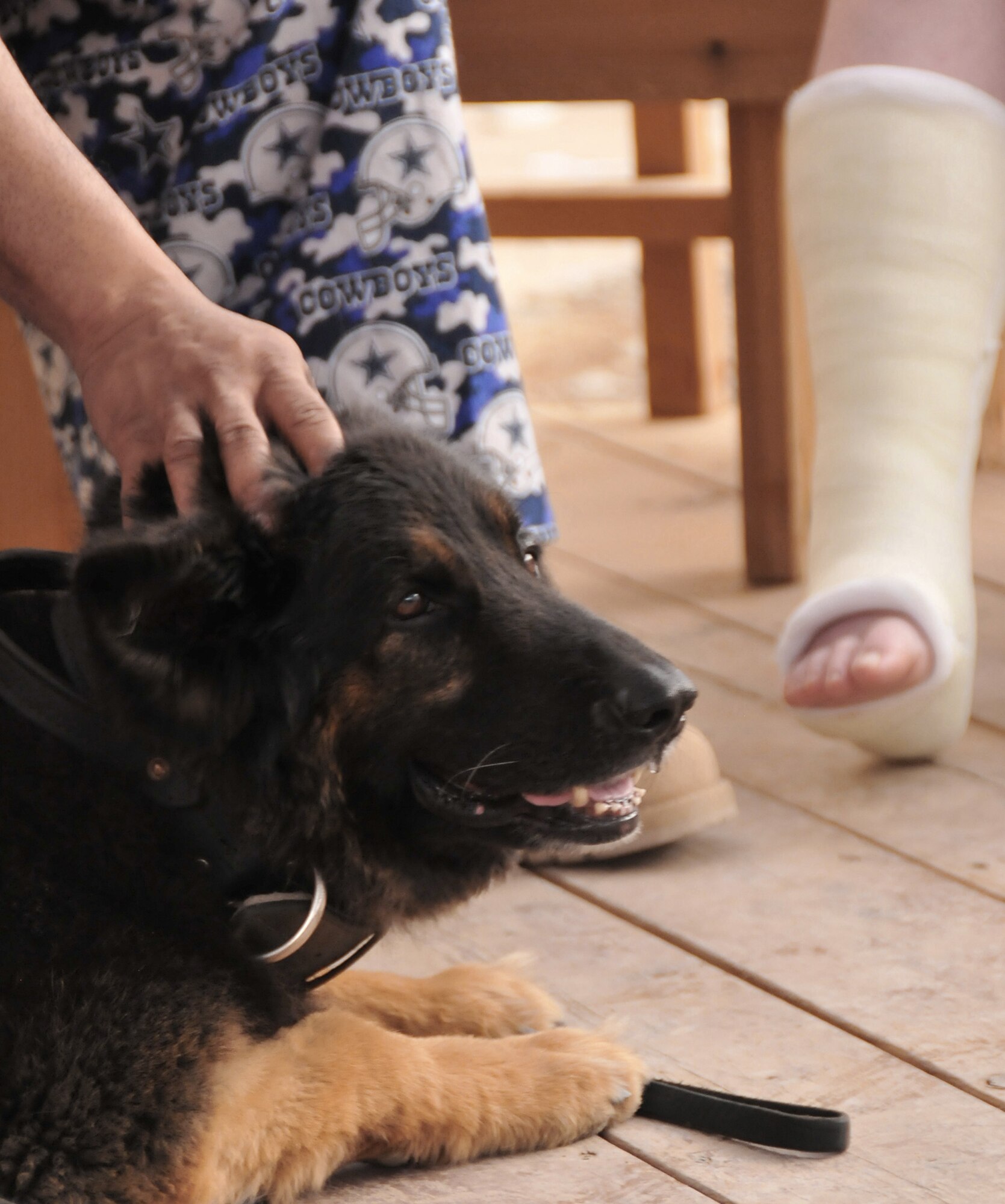 332nd Expeditionary Security Forces Group explosives-detection military working dog Cezar enjoys having his ears scratched as he sits at the feet of an Air Force Theater Hospital patient May 15 at Joint Base Balad, Iraq. Cezar was one of two military working dogs that participated in the newly created K-9 Visitation Program at the AFTH. The program works to further patient recovery after injury or illness through animal-assisted therapy. Patients are able to interact with the K-9s and their handlers twice a month. Cezar is deployed here from McGuire Air Force Base, N.J. (U.S. Air Force photo/Staff Sgt. Dilia Ayala) 
