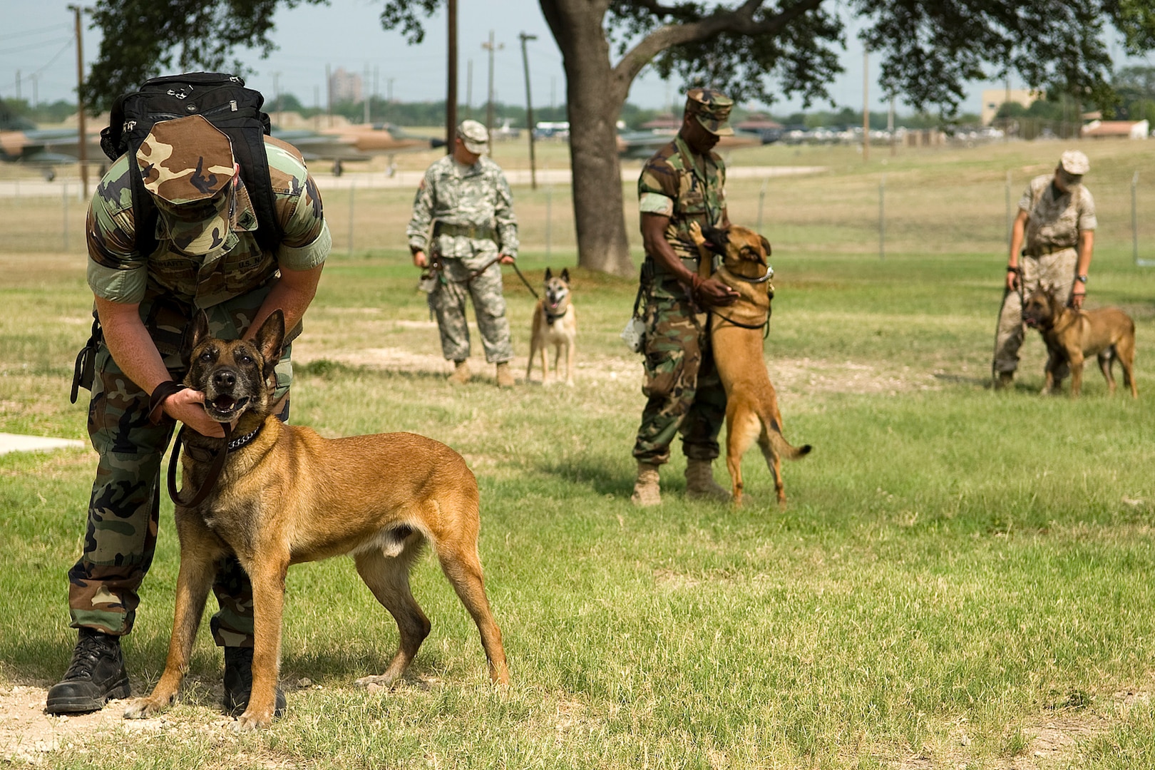 Dog handlers wait patiently with their working dogs before participating in a series of tests determining the handlers control on a working environment on Lackland Air Force Base, Texas. Military working dogs are enrolled in a 60- to 90-day training program where they are taught to detect explosives and drugs. They are also taught deterrence training and how to protect their handler. (U.S. Air Force photo/Senior Airman Christopher Griffin)