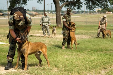 Dog handlers wait patiently with their working dogs before participating in a series of tests determining the handlers control on a working environment on Lackland Air Force Base, Texas. Military working dogs are enrolled in a 60- to 90-day training program where they are taught to detect explosives and drugs. They are also taught deterrence training and how to protect their handler. (U.S. Air Force photo/Senior Airman Christopher Griffin)