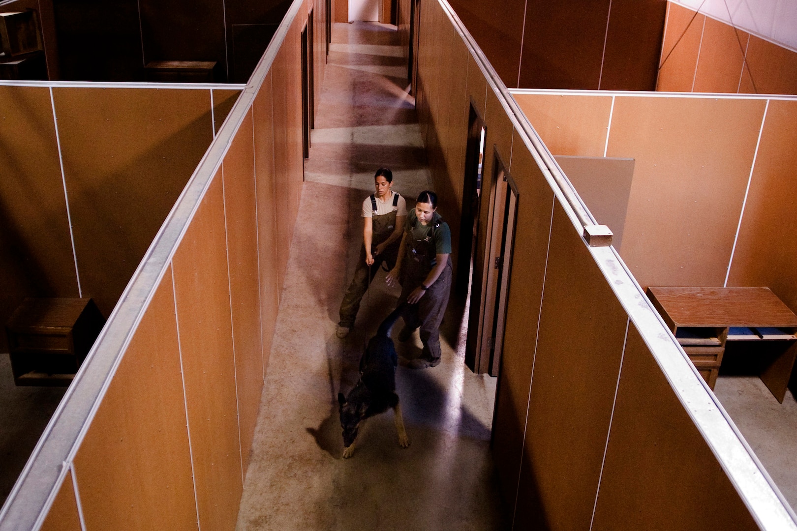 Soldier and Marine dog handlers run a military working dog through a maze of simulated training scenarios  on Lackland Air Force Base, Texas. Military working dogs are enrolled in a 60- to 90-day training program where they are taught to detect explosives and drugs. They are also taught deterrence training and how to protect their handler. (U.S. Air Force photo/Senior Airman Christopher Griffin)