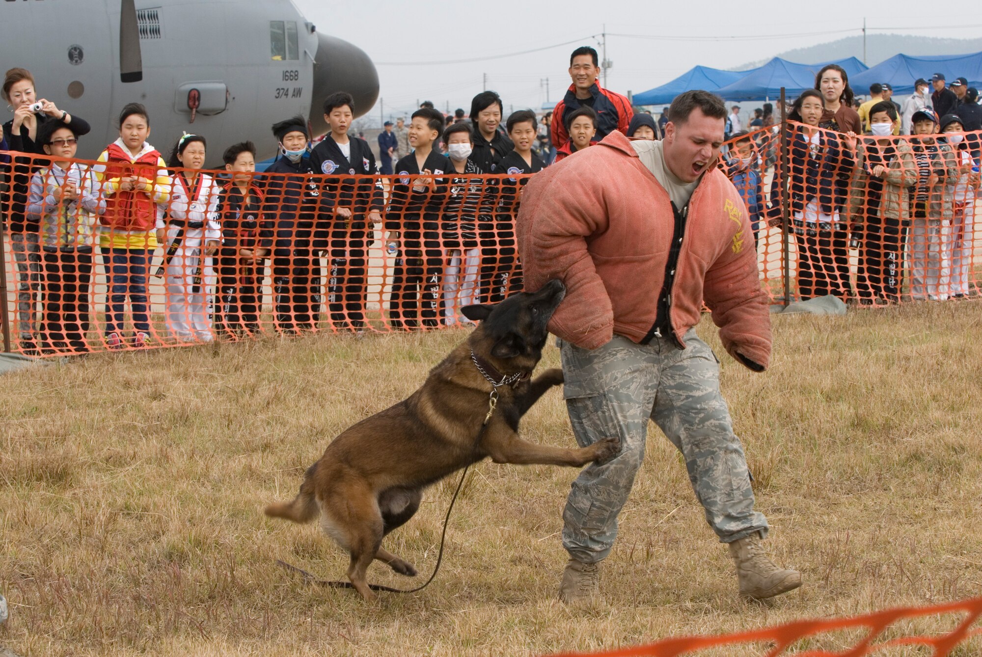 KUNSAN AIR BASE, Republic of Korea -- Staff Sgt. Andrew Freytag, 8th Security Forces Squadron military working dog handler, plays as a decoy for MWD Damon B-035 for the Gunsan Saemangeum Airshow attendees here Oct. 31. Kunsan Air Base held static displays and demonstrations for the more than 900 attendees at the Air Show. (U.S. Air Force photo/Senior Airman Roy Lynch)