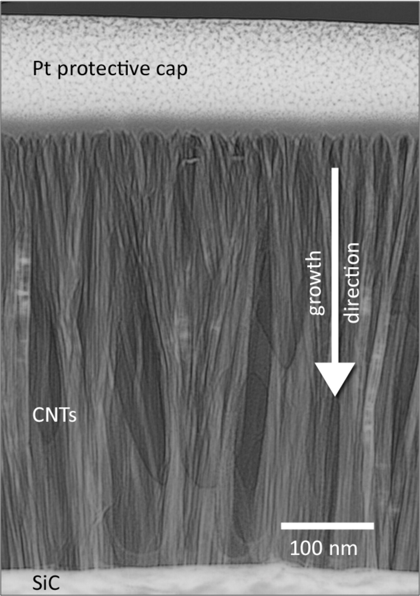 A cross-sectional, transmission electron micrograph view of a silicon carbide wafer after it underwent ultra-high-purity synthesis.  

The platinum protective cap is applied to preserve the sample surface during TEM preparation.  

The vertically aligned multiwall nanotubes form into the sample surface and have nominal diameters of 20 nm.     