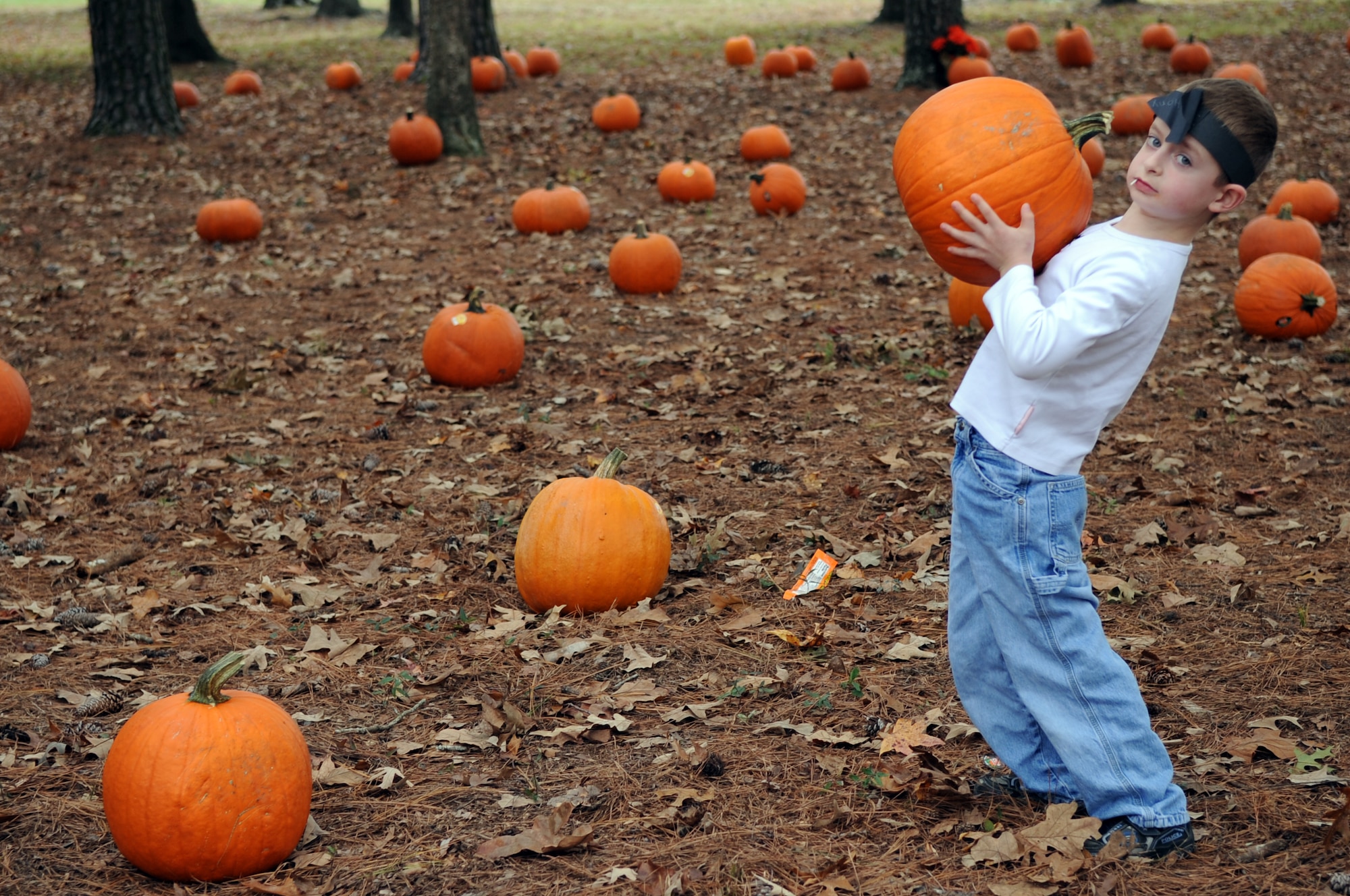 Anthony Smith, 5 years old, picks out a pumpkin from the child development center's annual pumpkin patch on Seymour Johnson Air Force Base, N.C., Oct. 30, 2009. Anthony is the son of Staff Sgt. Adam Smith, 4th Civil Engineer Squadron.  (U.S. Air Force photo/Senior Airman Courtney Richardson)