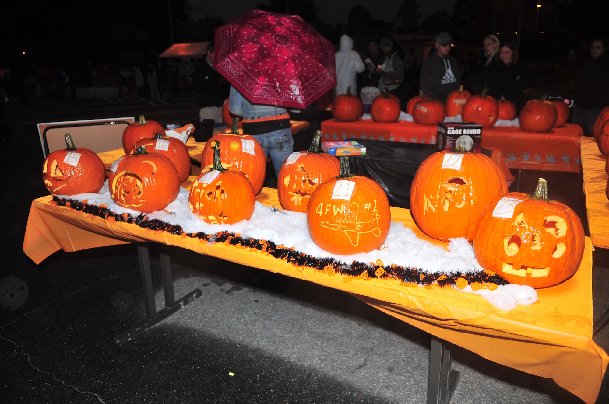 Pumpkins, carved during the community center's pumpkin carving event Oct. 29, 2009, sit on display for voting during the Halloween Block Party on Seymour Johnson Air Force Base, N.C., Oct. 30, 2009. Thirty families carved 42 pumpkins in hopes of having the best carved pumpkin. (U.S. Air Force photo/Airman 1st Class Rae Perry)
