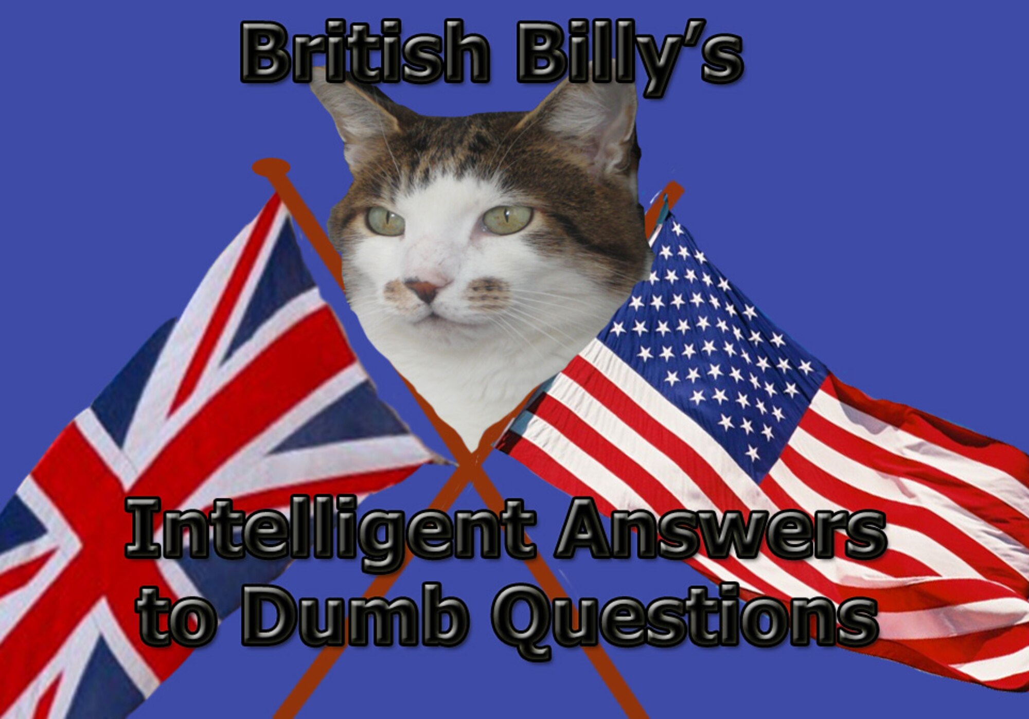 Billy the Cat (aka British Billy) lives in Elveden, a local village about ten miles from RAF Lakenheath. Billy has been around a bit. He came from a rescue centre and prefers not to dwell on the past. He is proud of his country and its heritage and counts his friends and family as hailing from all corners of the British Isles. He is proud to be a “moggy”. Many of his American friends and admirers ask Billy about the things puzzling them about life and culture in the U.K., and if he doesn’t know the answer, he has ways and means of finding out. Feel free to send him any questions, and when he isn’t sleeping or hunting, he’ll try and put a few thoughts together to help you out.