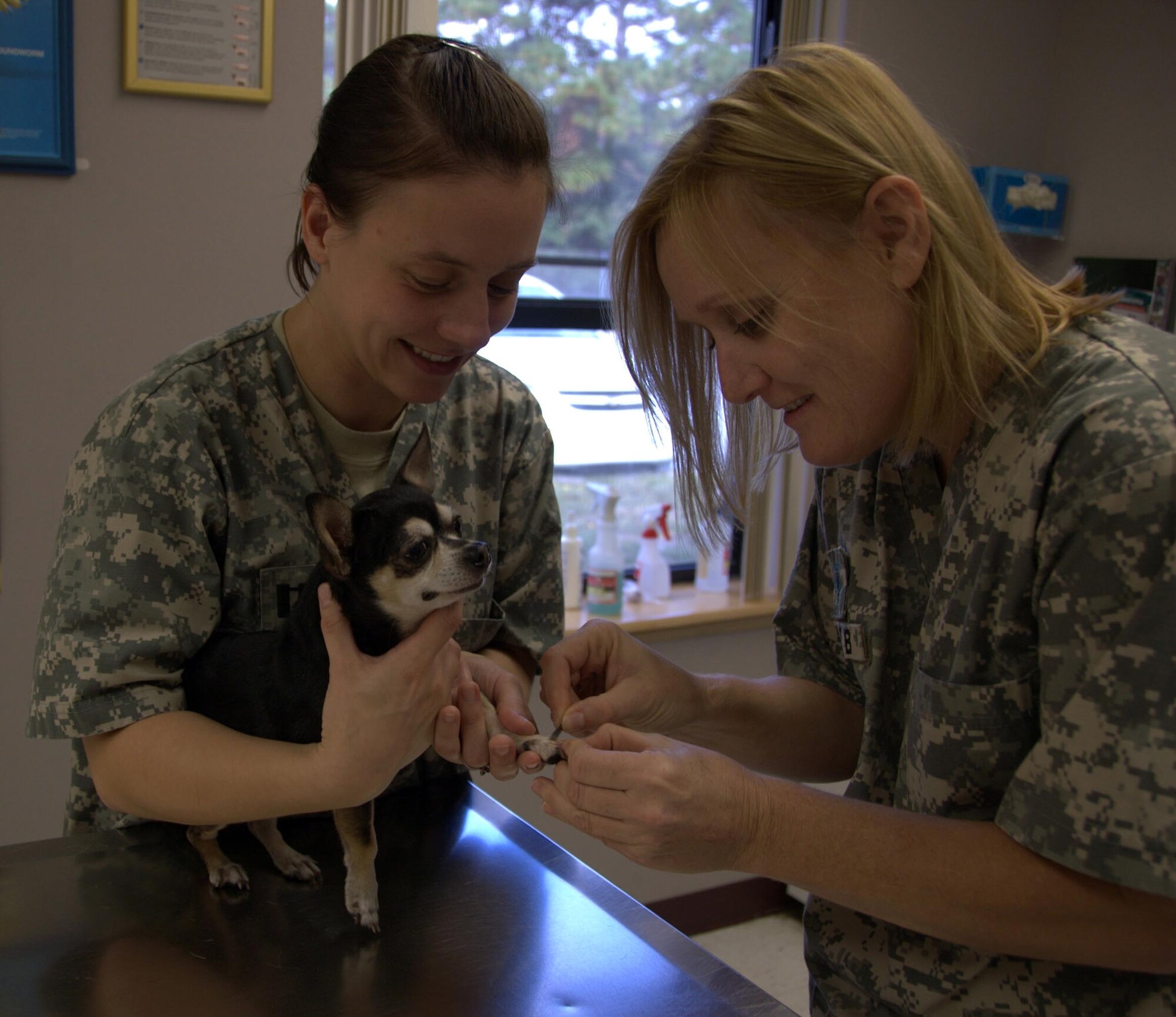 Captain Claire Groschwitz of the 325th Fighter Wing Vet Clinic holds Cisco an eight-year old Chihuahua while Denise Brown, a Veterinarian technician conducts a skin exam. The Vet Clinic is open Mondays through Fridays by appointment only. (U.S. Air Force photo by: Major Veronica Kemeny)

