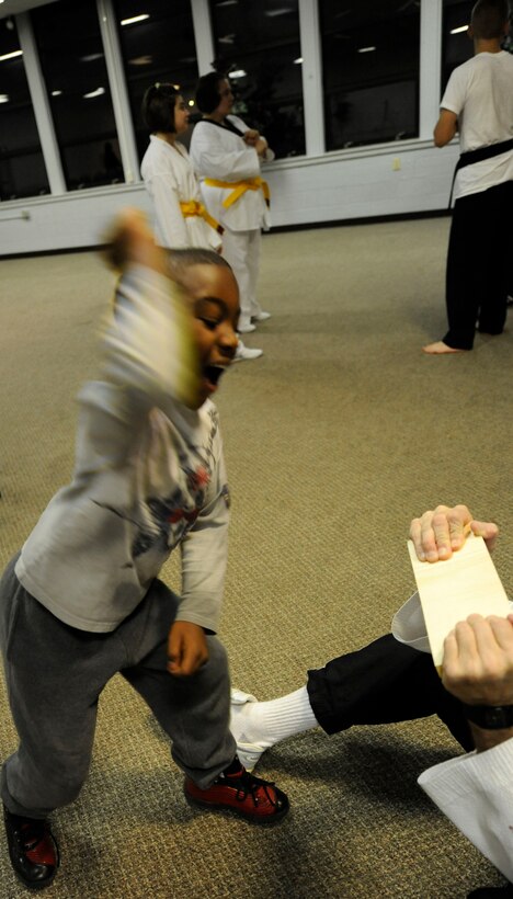 LANGLEY AIR FORCE BASE, Va. - Kalonji Blount, 7, grandson of Carol Shaw, Air Combat Command Safety Office, breaks a board after learning self-defense tactics Nov. 3. The Family Self-Defense Class, taught by trained black belts from the International Combat Hapikdo Federation, is one of the many events held during Military Family Week, Nov. 1-7. (U.S. Air Force photo/Senior Airman Dana Hill)