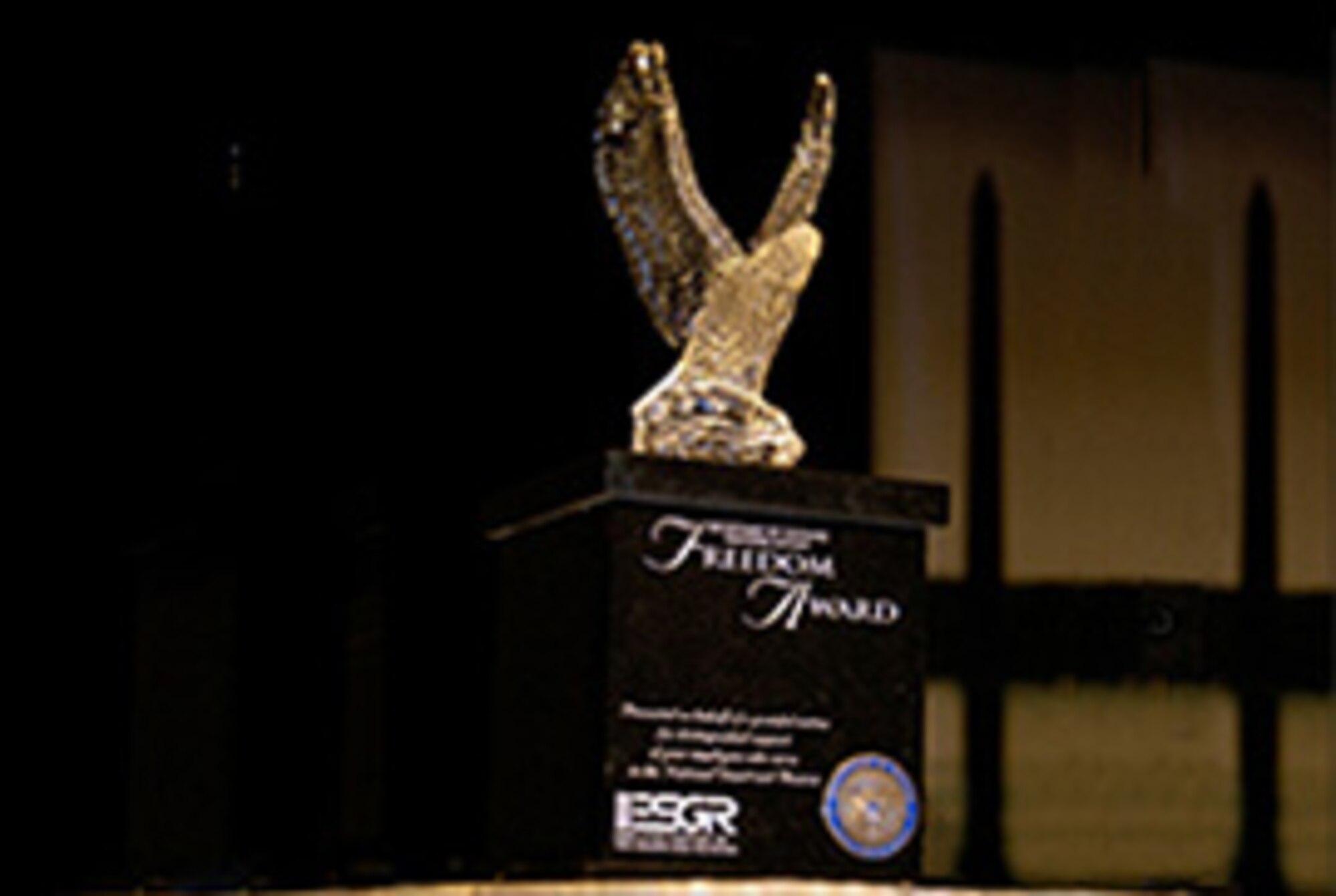 The Secretary of Defense Employer Support Freedom Award. This is the highest award given by the U.S. Government to employers for their exceptional support of their Guard and Reserve employees.