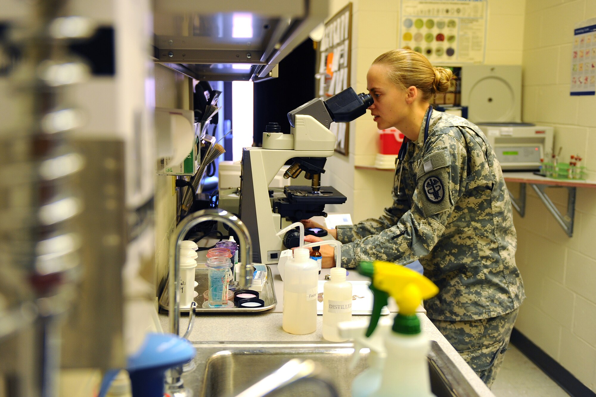 OFFUTT AIR FORCE BASE, Neb. - U.S. Army Capt. Amanda J. Chamberlin, a veterinarian with the 55th Medical Operations Squadron, analyzes a sample taken from the ear of Venture, an English Cocker Spaniel, to determine the source of his ear ache, at Offutt's Veterinary Clinic Nov. 6.  The primary mission of the clinic is to care for military working dogs.  However, the facility also offers a full range of care to all pets of active-duty and retired servicemembers. U.S. Air Force Photo by Josh Plueger
