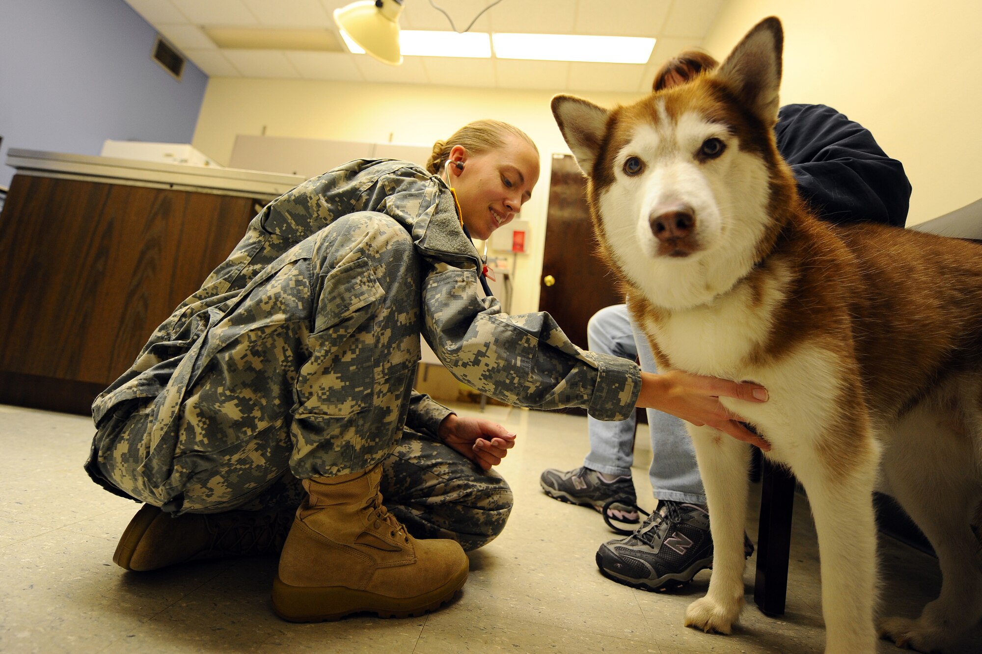 OFFUTT AIR FORCE BASE, Neb. - U.S. Army Capt. Amanda J. Chamberlin, a veterinarian with the 55th Medical Operations Squadron, checks Sparky's heart during her visit to Offutt's Veterinary Clinic Nov. 6.  The clinic offers a full range of care to all pets of active-duty and retired servicemembers. U.S. Air Force Photo by Josh Plueger
