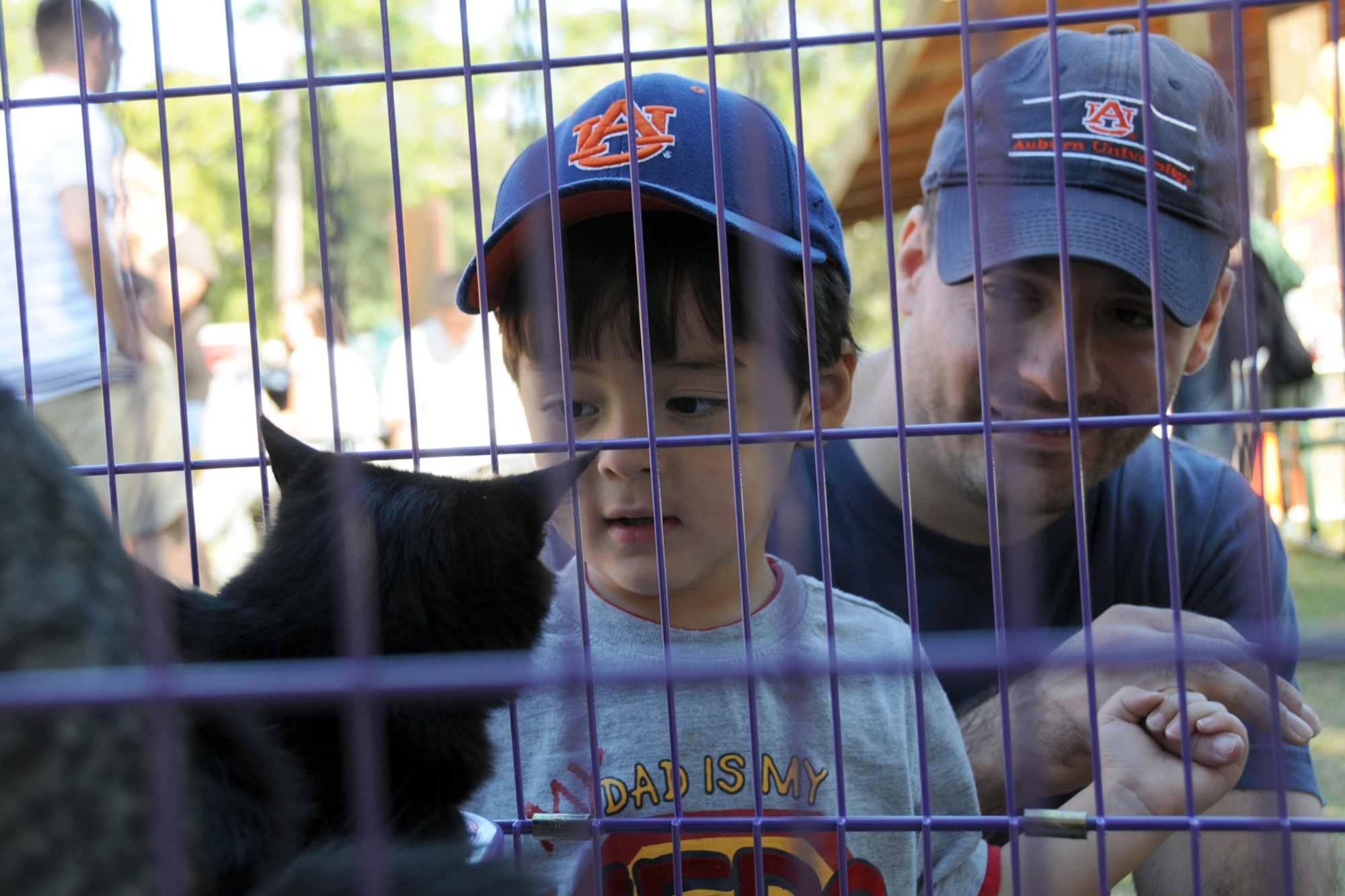 EGLIN AIR FORCE BASE, Fla. -- A child looks at some of the pets featured at the Fall Festival in Unity Park Nov. 7, during the Week of the AIr Force Family. The Team Eglin community picnic showcased base helping agencies with information booths and activities like clowns, face painting, magic shows, bouncy castle, free food and demos. (U.S. Air Force photo/Airman 1st Class Anthony Jennings)