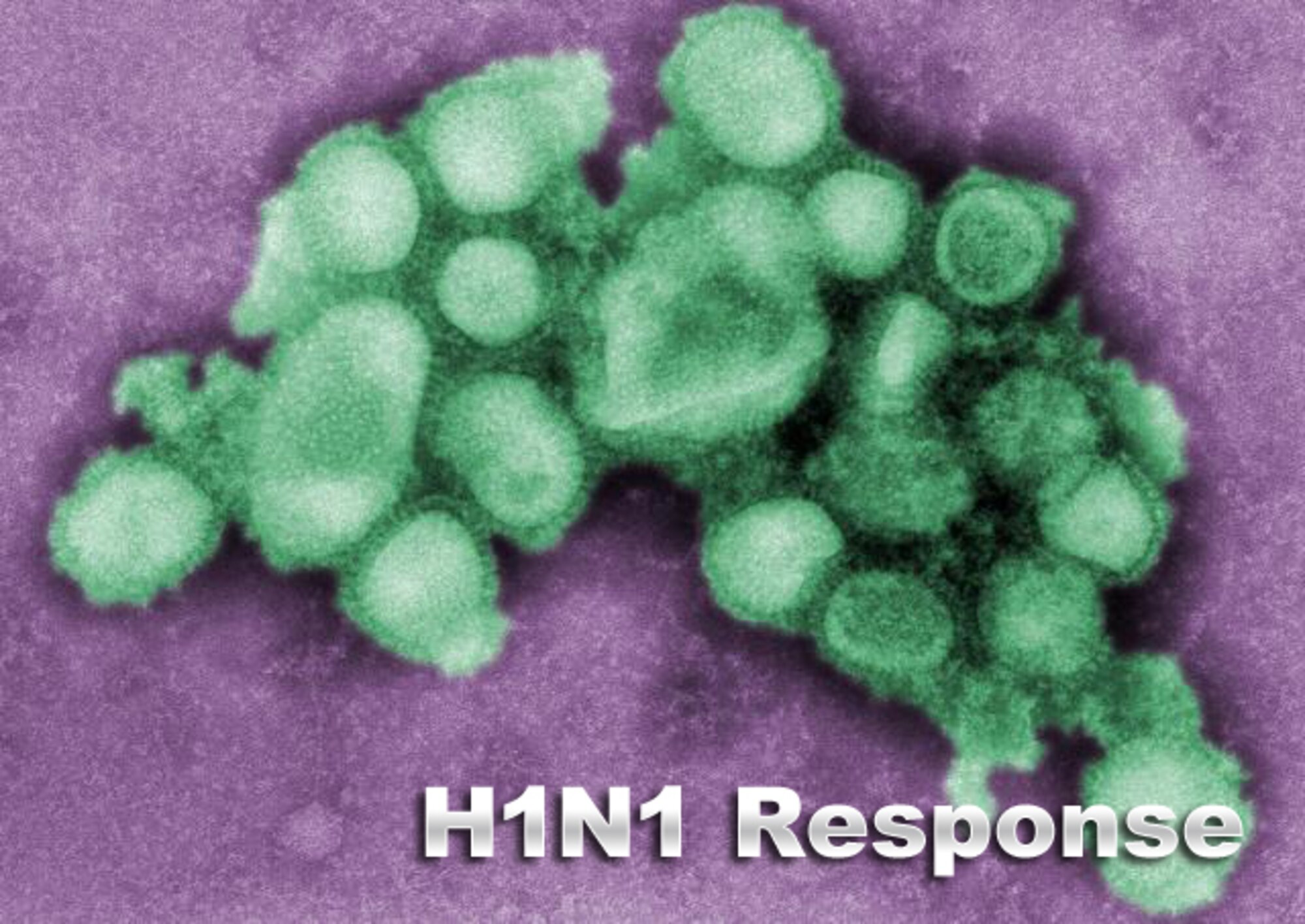 Officials with the Air Force Academy's 10th Medical Group discussed Nov. 5, 2009, the Academy's response to an outbreak of H1N1 influenza that infected approximately 150 cadets in July. (Centers for Disease Control and Prevention photo/C.S. Goldsmith and A. Balish)