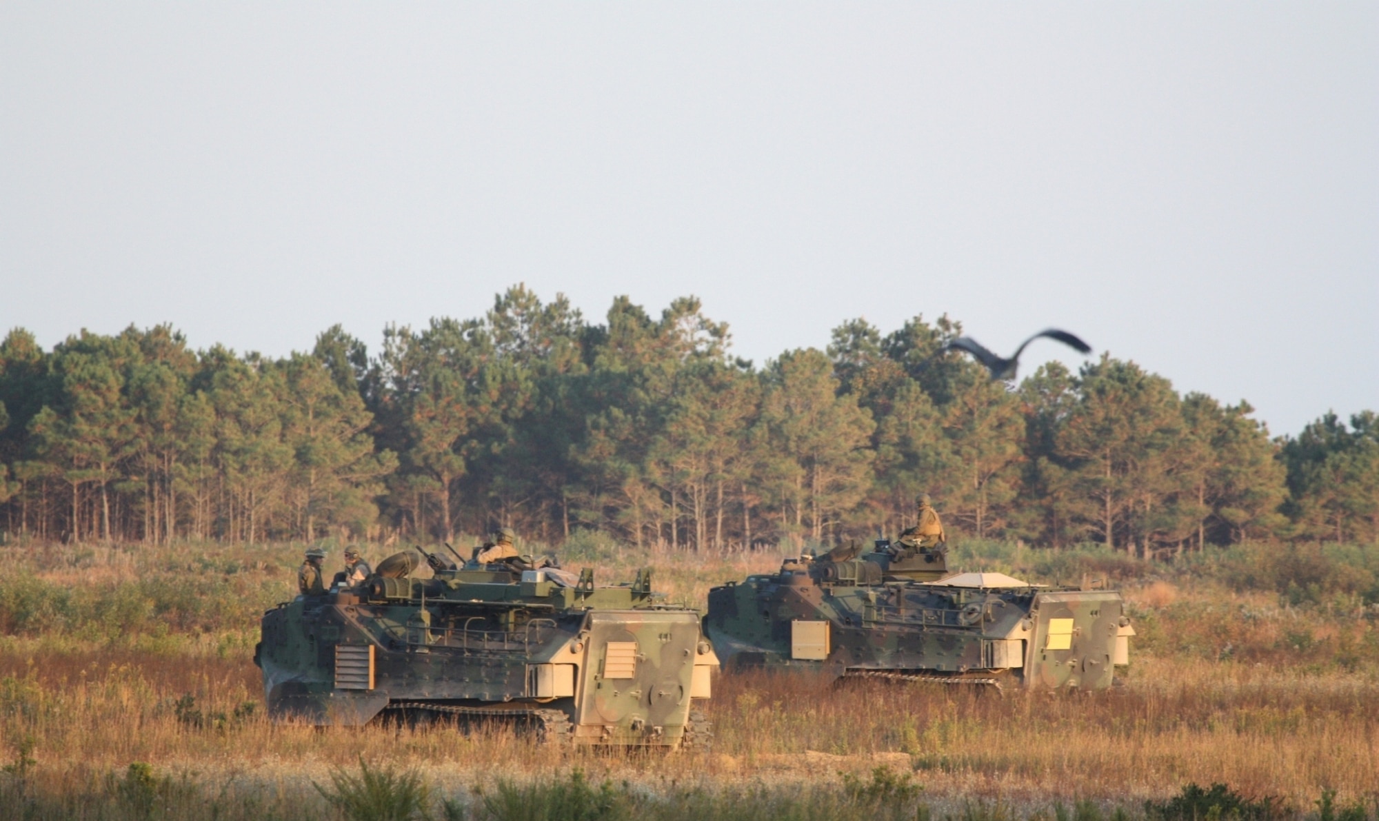 A Marine Corps amphibious assault vehicle helps assess combat identification technologies during Bold Quest 09 at Camp Lejeune, N.C. (U.S. Air Force photo by  Casey Bain)