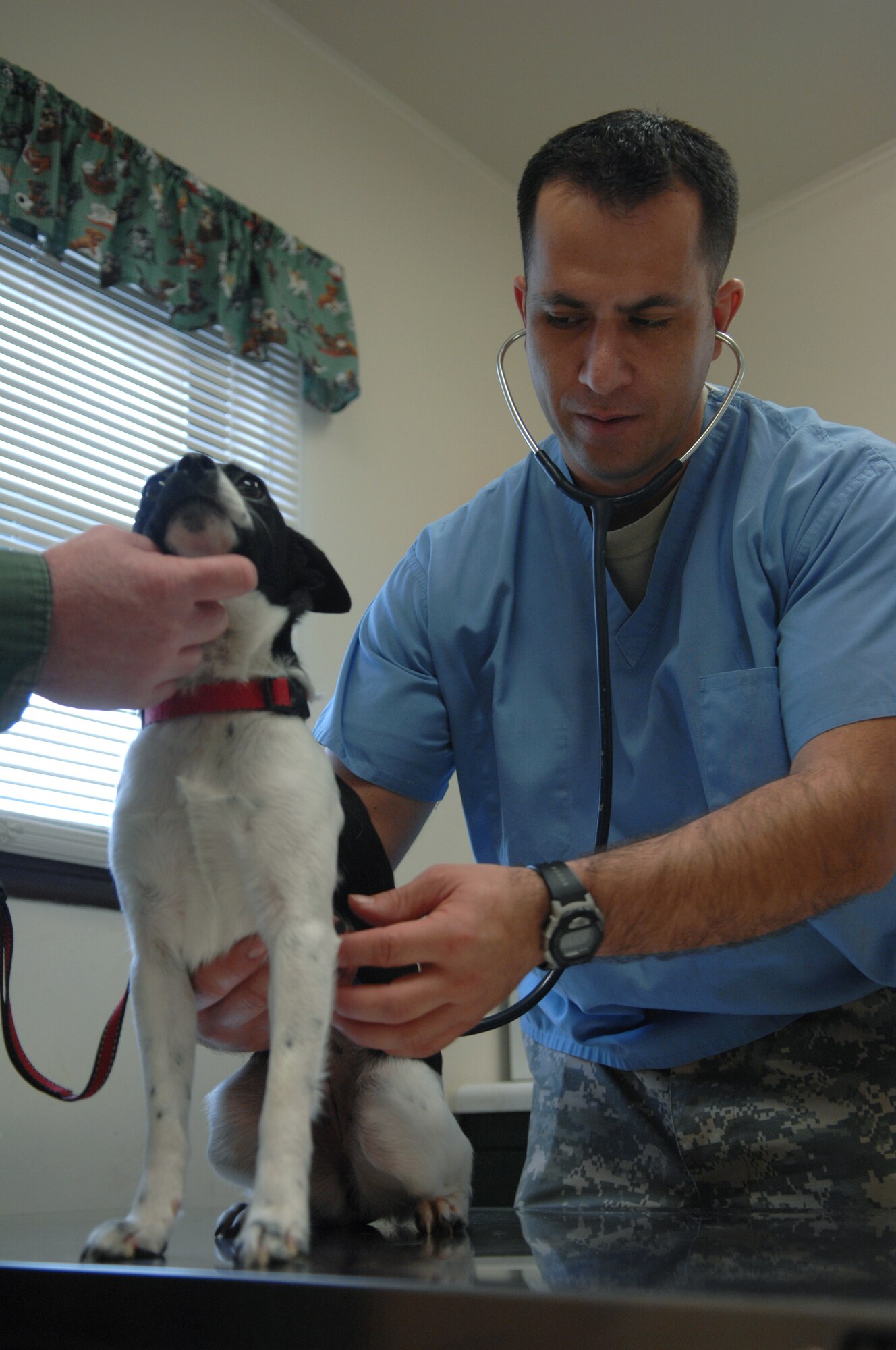 Staff Sgt. Eduardo Quezada, Army veterinarian technician, checks Daisy’s heart before administering her rabies vaccination and inserting her micro chip here Nov. 10. Daisy is the family pet of Tech. Sgt. Jeff Smith, 509th Communications Squadron member.  The clinic aids service members in keeping pets legal, safe and healthy.  (U.S. Air Force Photo/ Senior Airman Jessica Mae Snow) (Released)