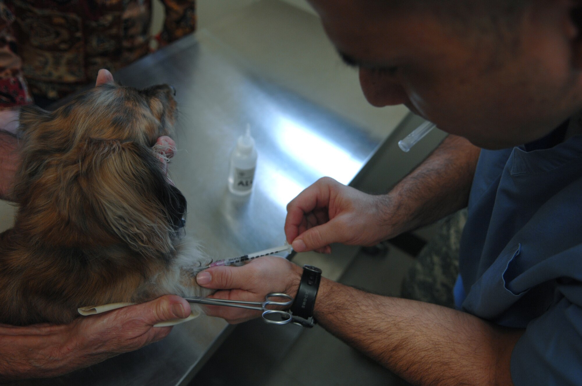 Staff Sgt. Eduardo Quezada, Army veterinarian technician, draws blood from Harley here Nov. 10. Harley is the family pet of retired Air Force member Glenn and Lavern Fry.  Sergeant Quezada tests the blood sample to for heart worms.  The clinic aids service members in keeping pets legal, safe and healthy.  (U.S. Air Force Photo/ Senior Airman Jessica Mae Snow) (Released)
