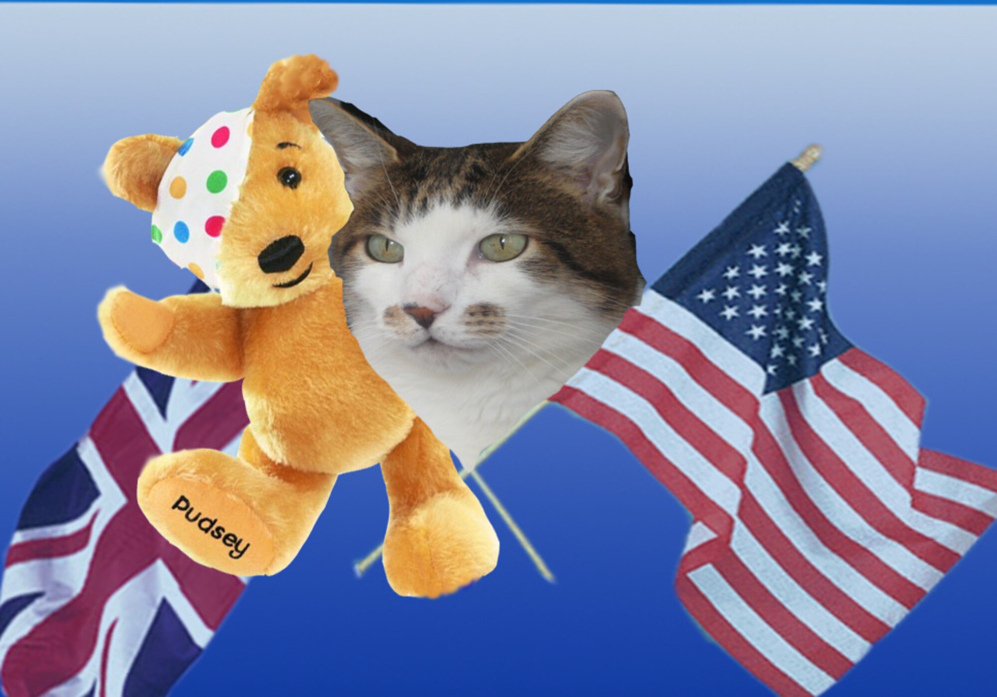 Billy the Cat (aka British Billy) lives in Elveden, a local village about ten miles from RAF Lakenheath. This week, he proudly shares the stage with Pudsey Bear, the mascot for the BBC's Children in Need Appeal. The annual telethon this year is on Nov. 20.

Feel free to send British Billy any questions on life in the U.K., and when he isn’t sleeping or hunting, he’ll try and put a few thoughts together to help you out.
