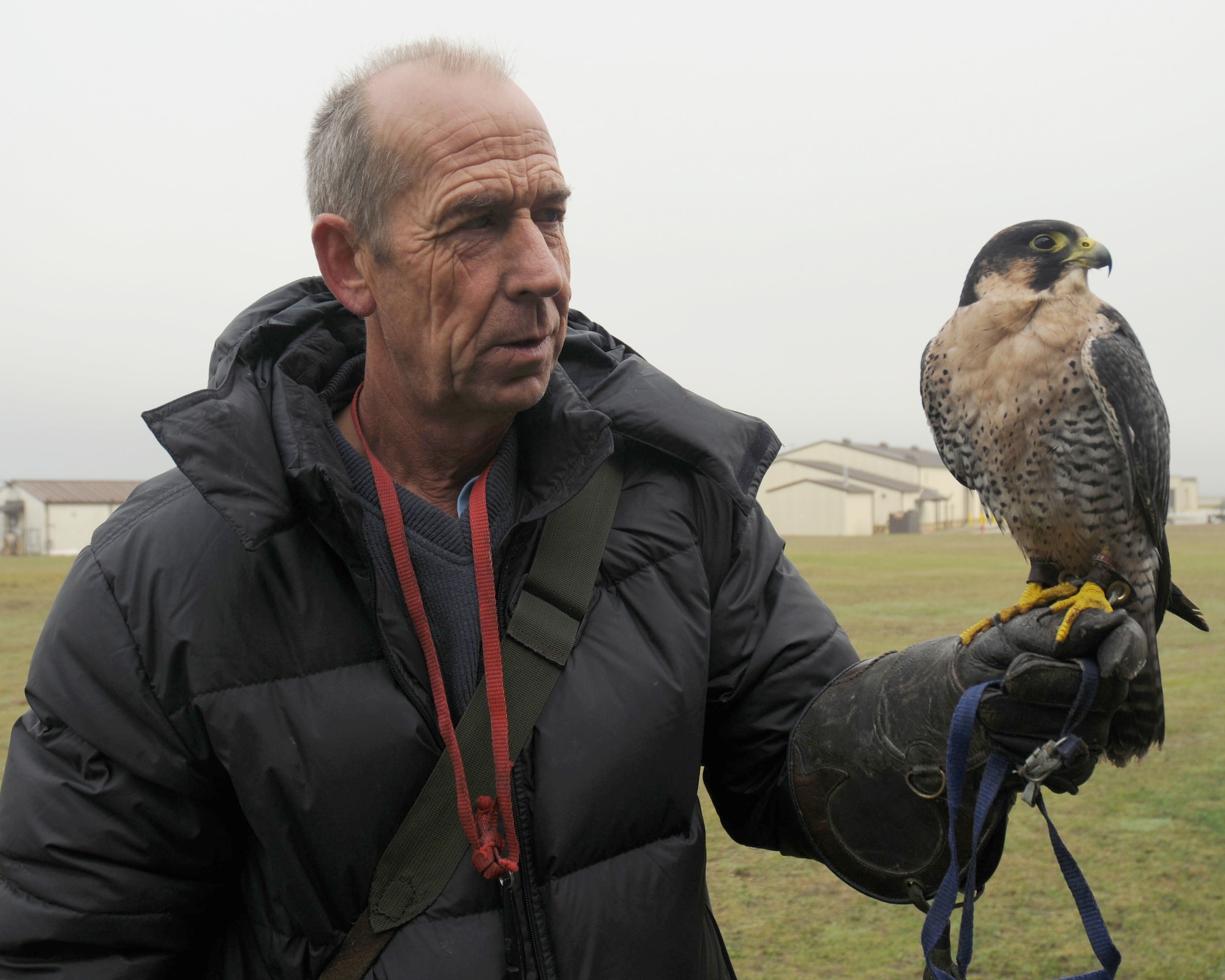 Keith Mutton, owner of Phoenix Bird Control Service, holds up Spitfire, a Peregrine Falcon used to patrol the airfield as part of the Bird Aircraft Strike Hazard program. Mr. Mutton patrols the airfield every day with a rotating team of falcons, hawks, owls and other tools to scare off birds and avoid bird strikes. In fiscal year 2007, bird strikes cost the Air Force $25 million. (U.S. Air Force photo by Staff Sgt. Megan Lyon) 