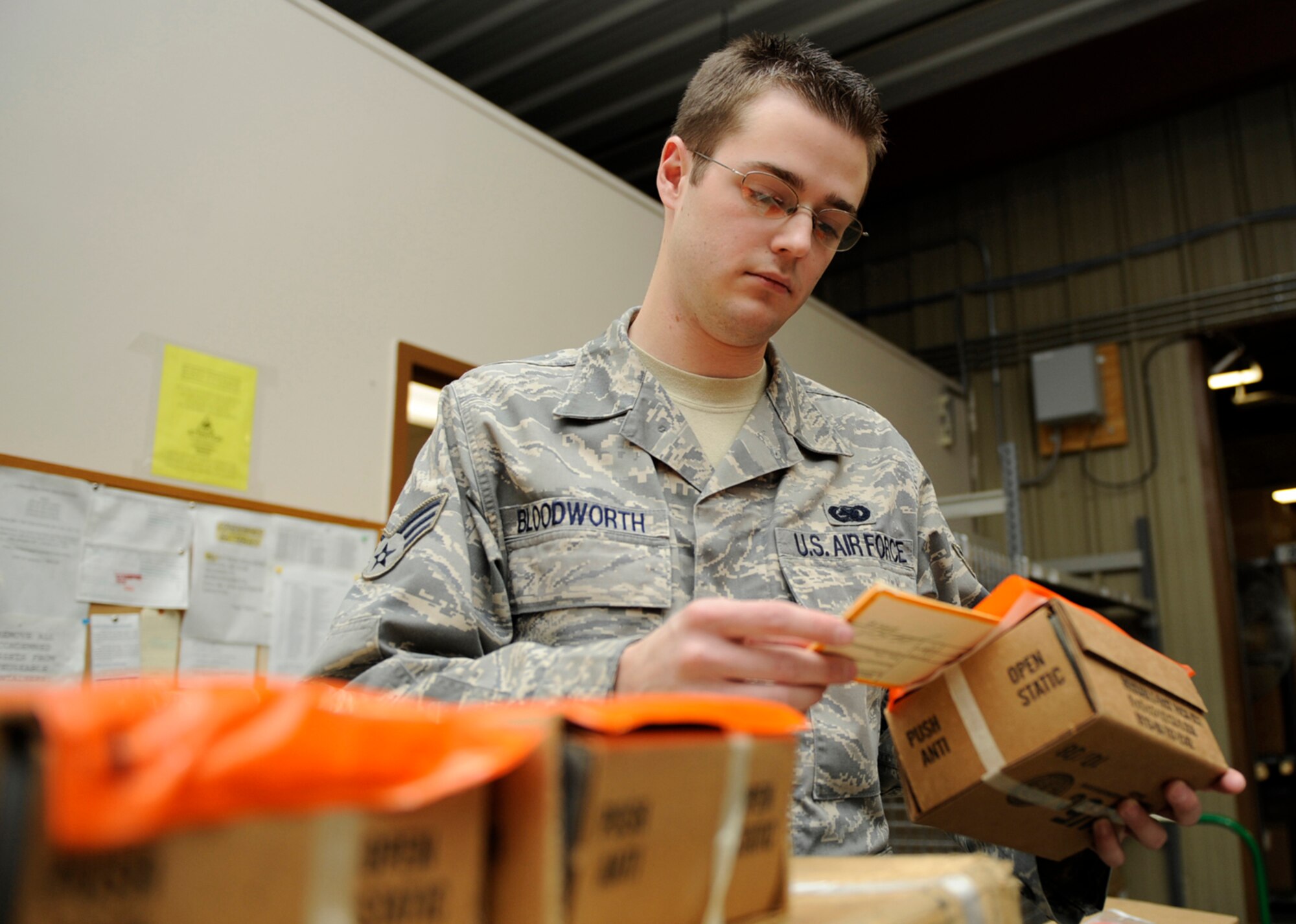 MOUNTAIN HOME AIR FORCE BASE, Idaho -- Senior Airman Shannon Bloodworth serves as a 390th Aircraft Maintenance Unit supply technician. (U.S. Air Force photo by Airman 1st Class Renishia Richardson)