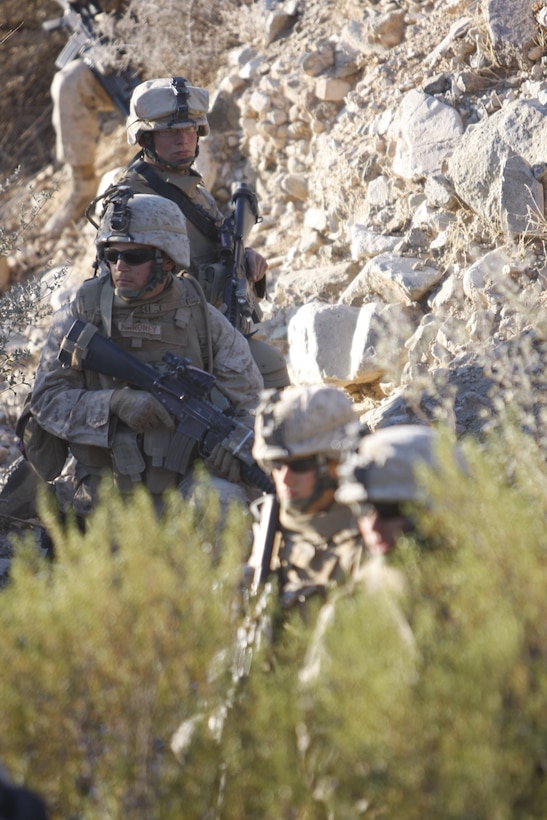 Cpl. Ryan Schmidt, a cook with Marine Wing Support Squadron 472, looks through the freezer for a dinner entr?e aboard Combat Outpost Nukhayb, Iraq, Nov. 18, 2009. With a limited amount of variety, Schmidt is always devising new ways to make meals better for men and women serving at COP Nukhayb.